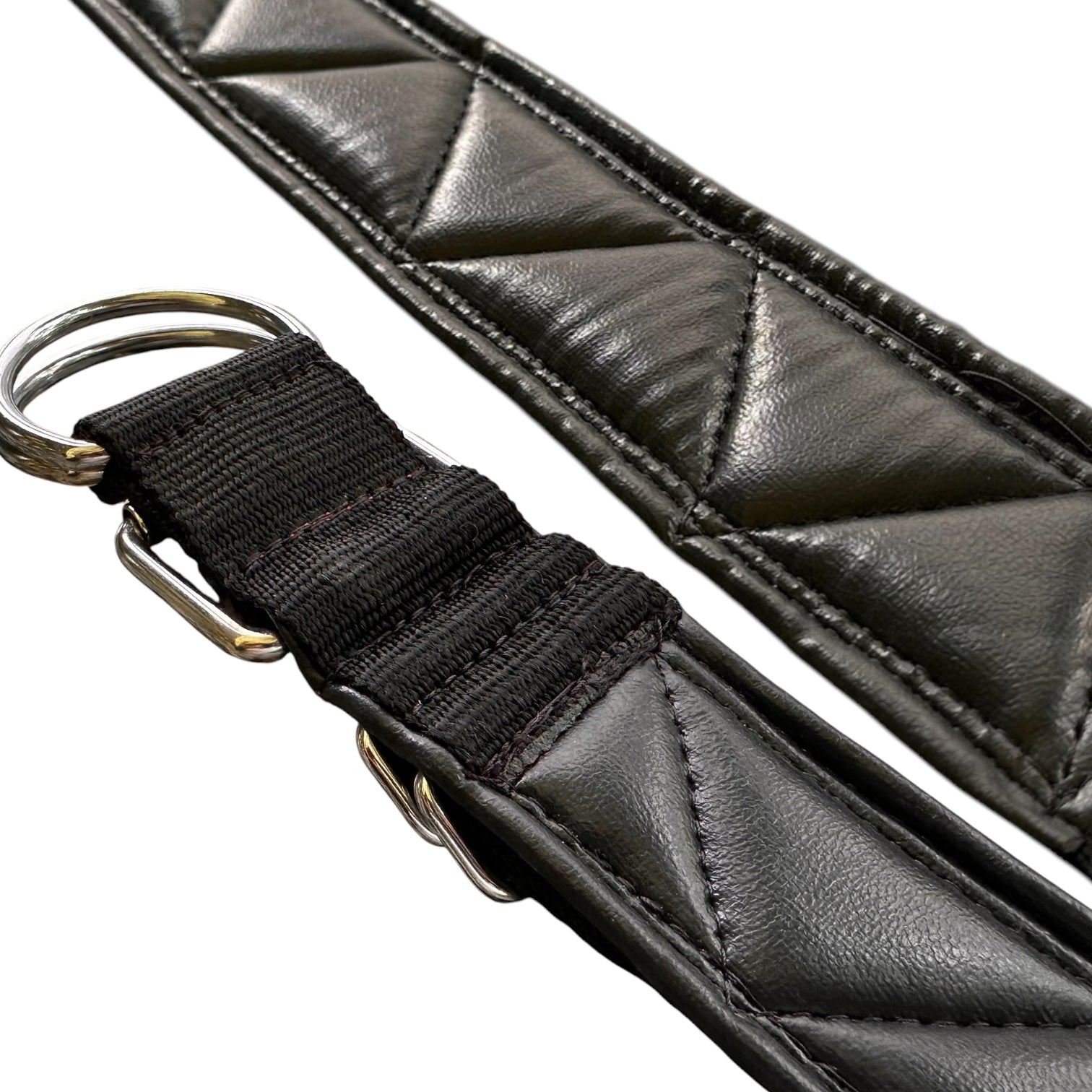 Heavy Duty Dog Collar | PP Webbing | 2" & 3" Width | Fits 16-32 Inch Neck | Black & Red