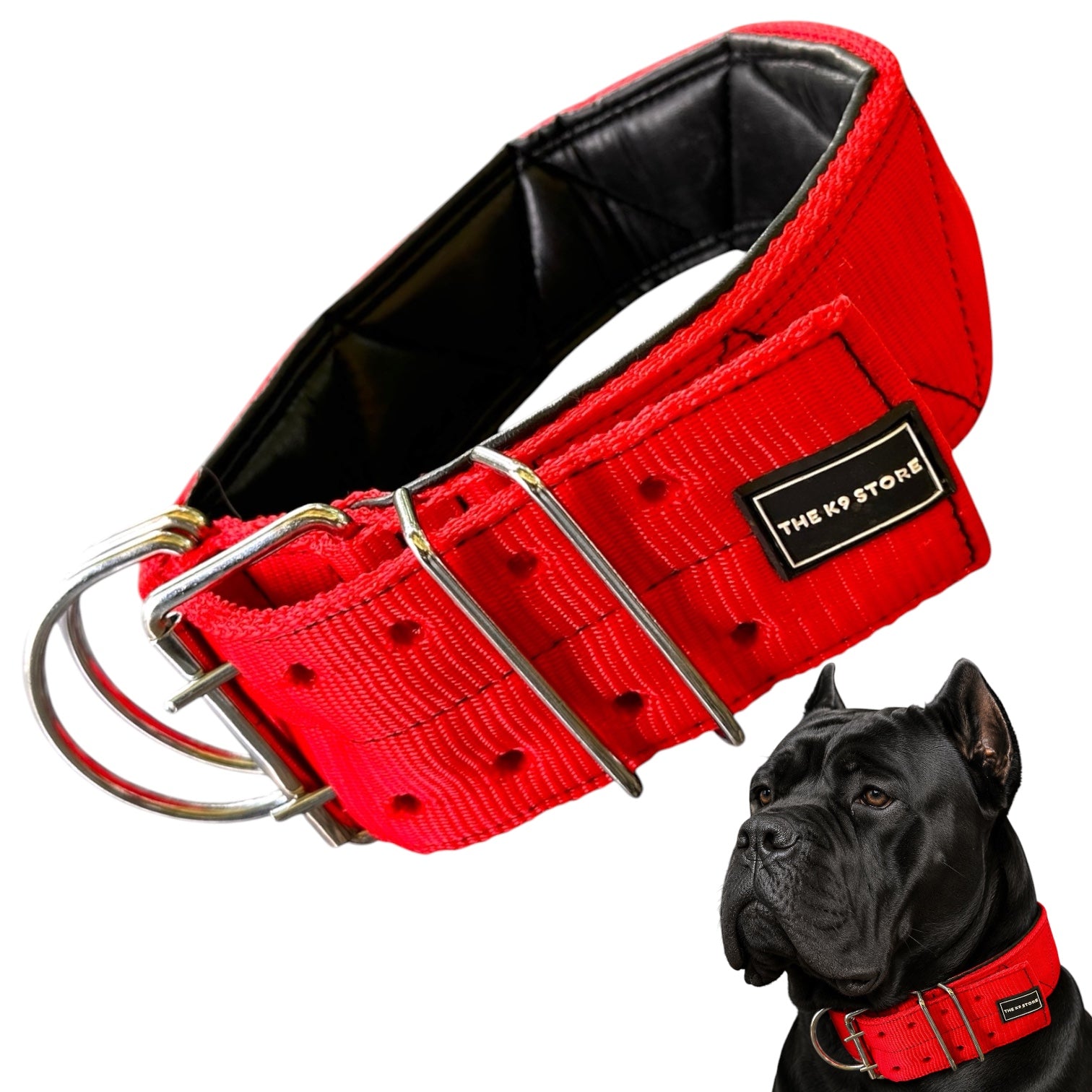 Heavy Duty Dog Collar | PP Webbing | 2" & 3" Width | Fits 16-32 Inch Neck | Black & Red