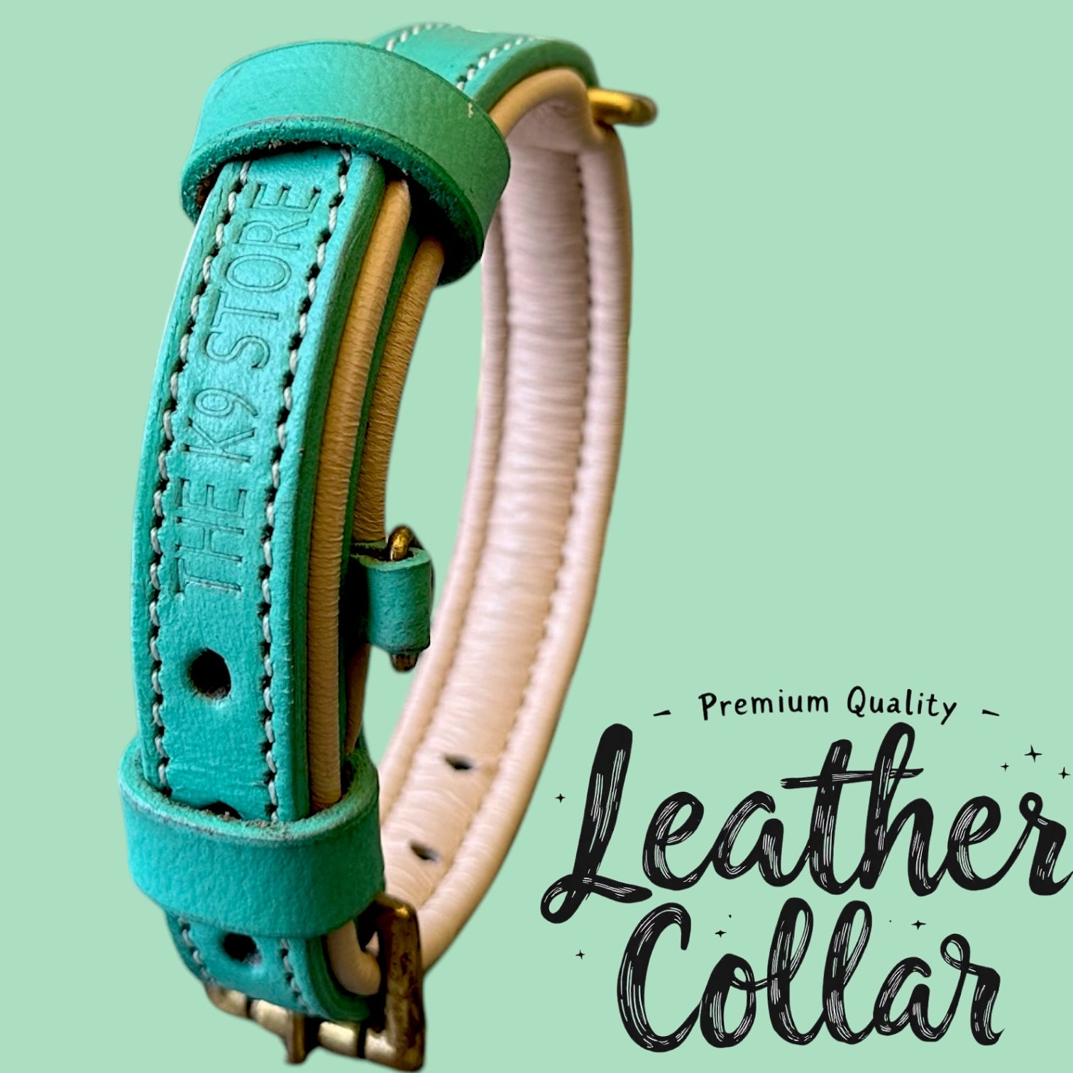 The K9 Store 100% Highgrade Leather Colored Basic Dog Neck Collar (Green/Mint)