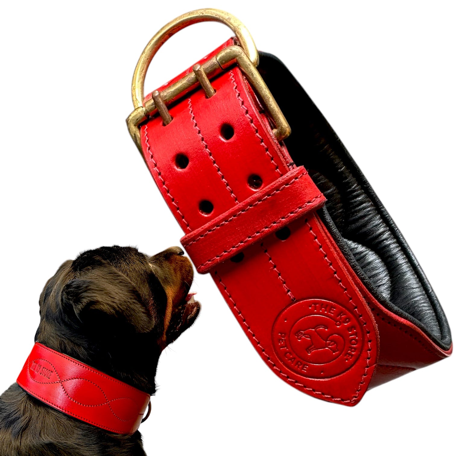 The K9 Store 100% Highgrade Leather Colored Bold & Premium Dog Neck Collar (Red)