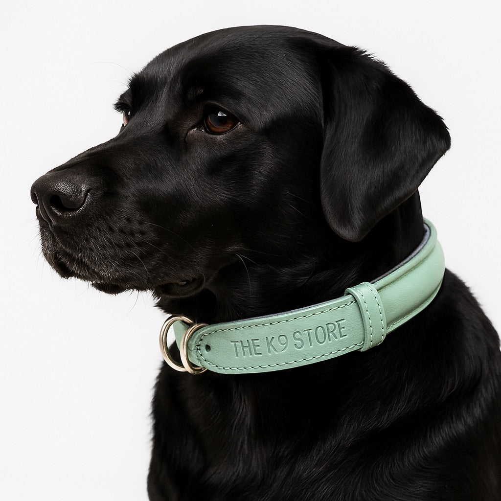 Handmade Rope Design Leather Dog Collar | Heavy Metal Support | Premium K9 Collar (India Only)