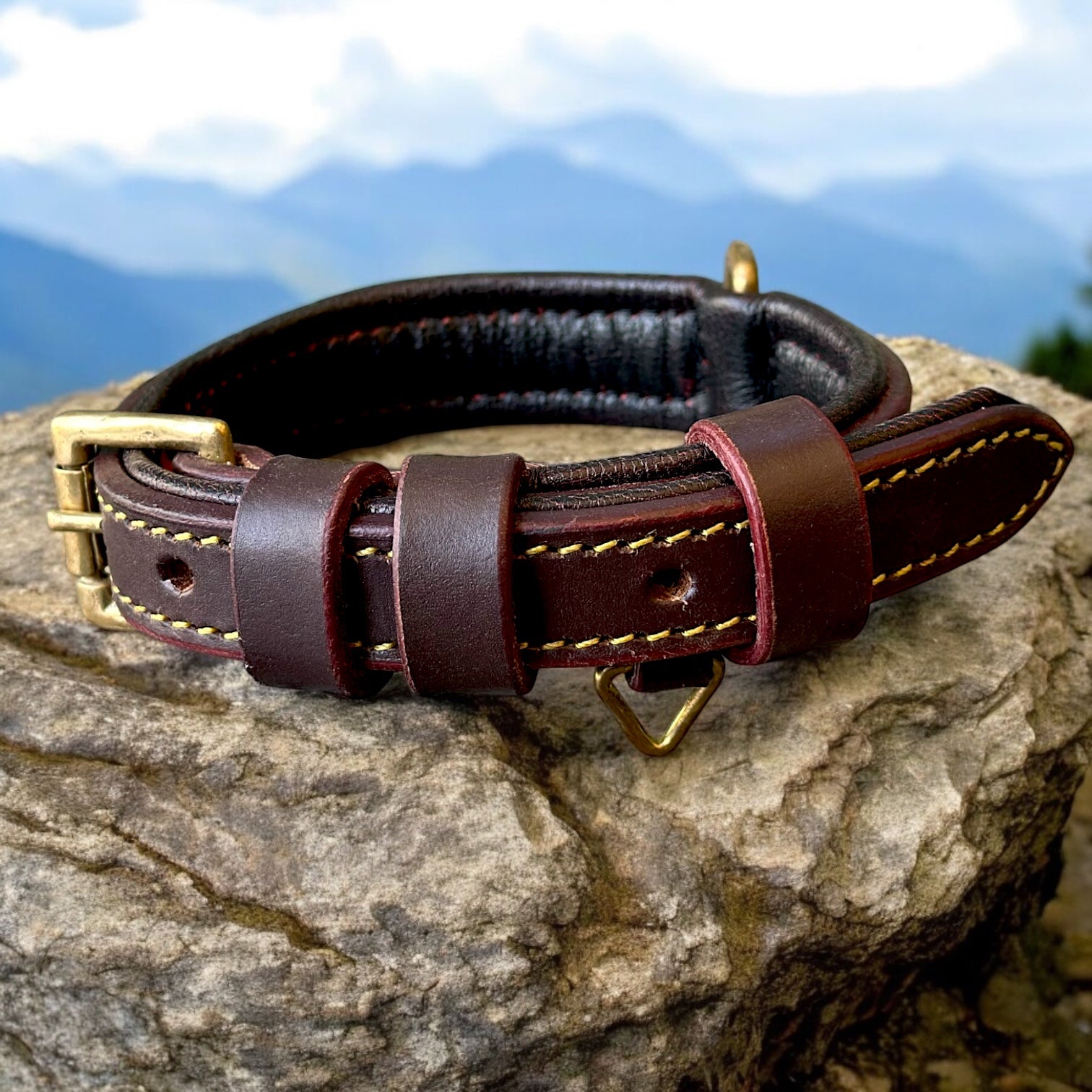 Stylish chocolate leather dog collar chocolate finish