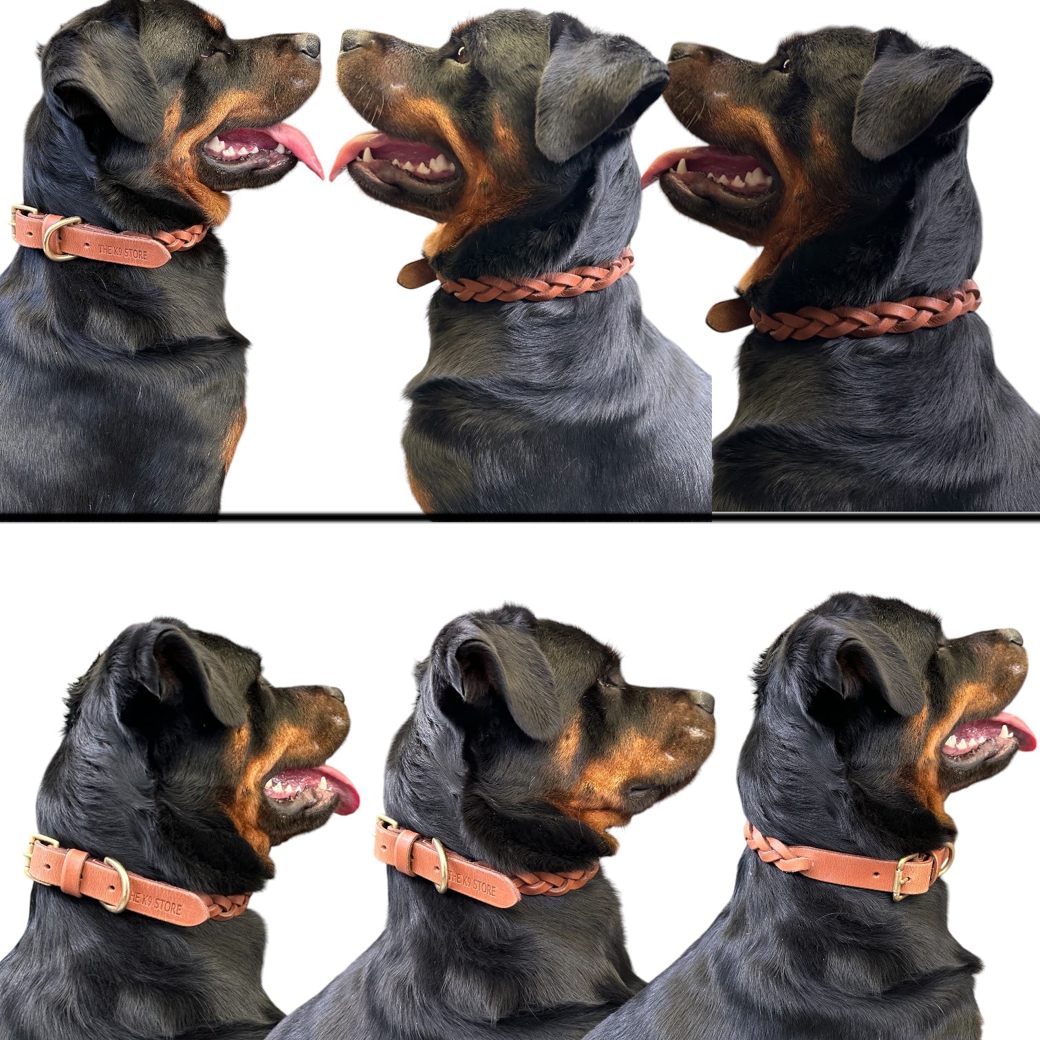 The K9 Store 100% Highgrade Leather Criss Cross Designer Dog Neck Collar (Tan)