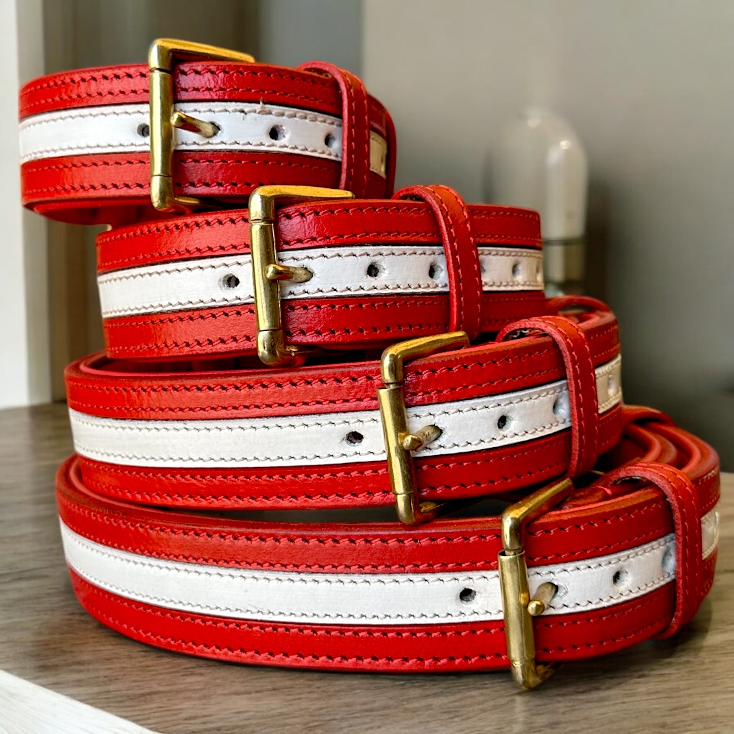 The K9 Store 100% Highgrade Leather Dual Tone Designer Dog Neck Collar (Red & White)