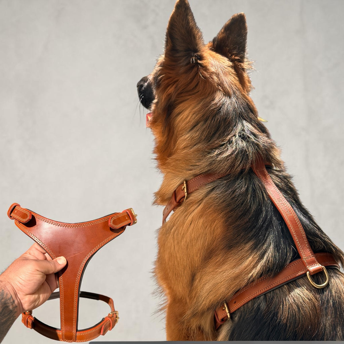 THE K9 STORE Tan Leather Dog Harness – Adjustable Premium Harness for Dogs