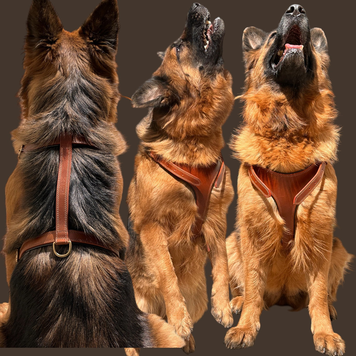 THE K9 STORE Tan Leather Dog Harness – Adjustable Premium Harness for Dogs