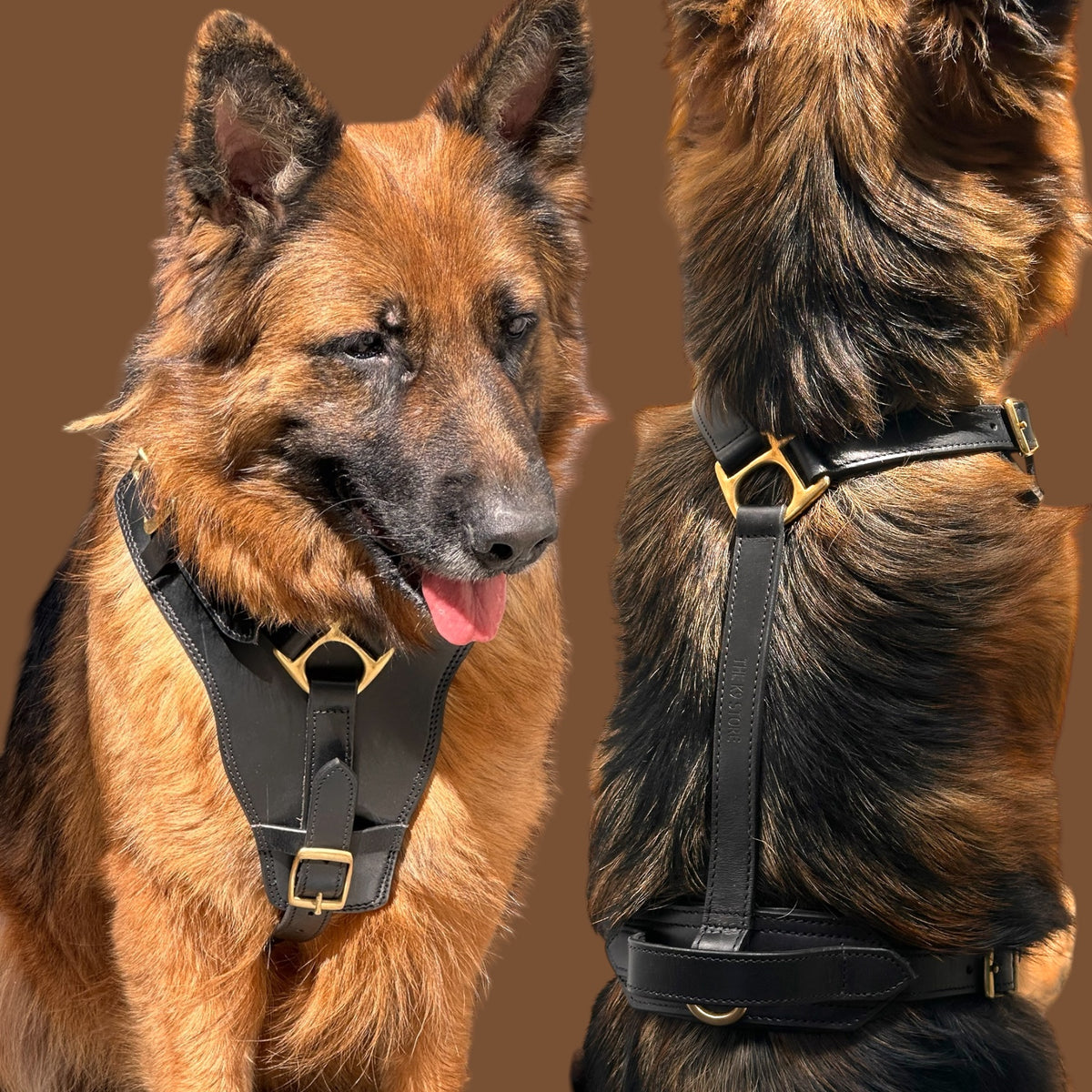 The K9 Store Black Pure Leather Dog Harness with Brass Hardware – Adjustable Padded Dog Chest Harness for Walks, Training & Strong Control
