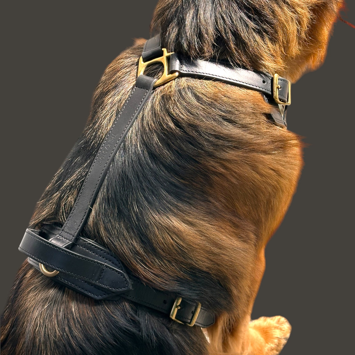 The K9 Store Black Pure Leather Dog Harness with Brass Hardware – Adjustable Padded Dog Chest Harness for Walks, Training & Strong Control