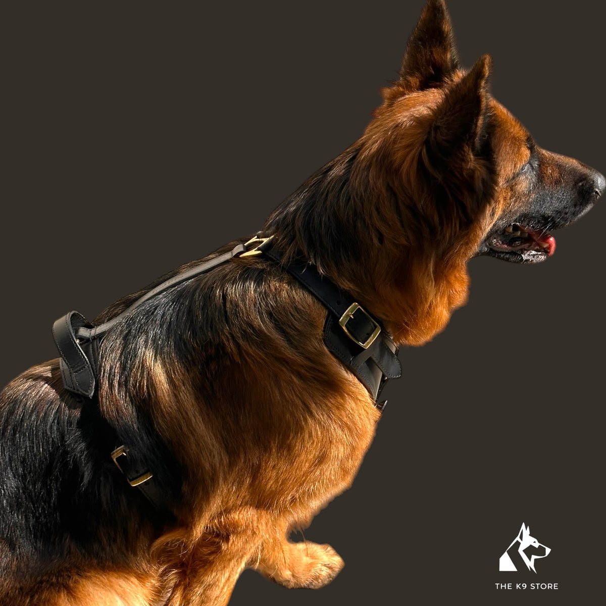 The K9 Store Black Pure Leather Dog Harness with Brass Hardware – Adjustable Padded Dog Chest Harness for Walks, Training & Strong Control