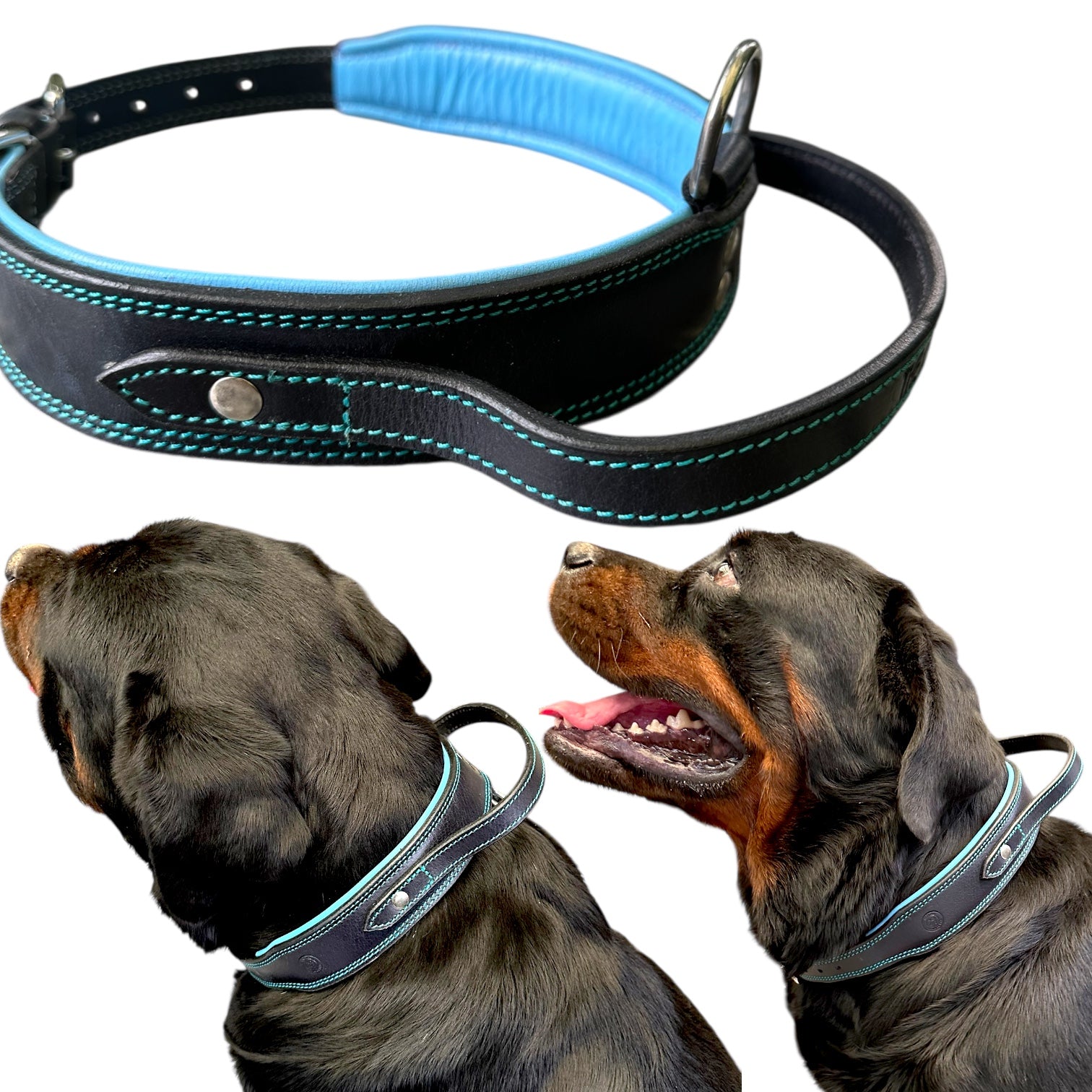 The K9 Store 100% Highgrade Leather Bold Dog Neck Collar For Training With Extra Handle - Zoey's Special B&B (Blue & Black Dual Tone)