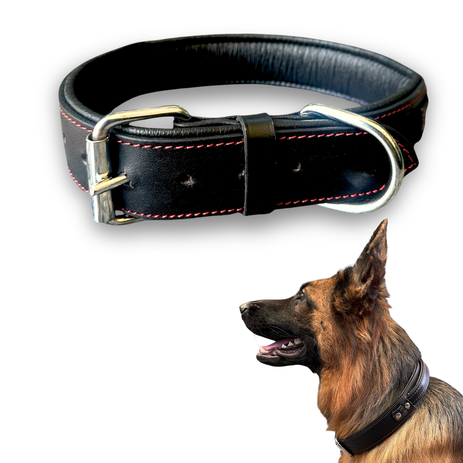 The K9 Store 100% Highgrade Leather Bold Dog Neck Collar For Training With Extra Handle - Zoey's Special (Black)