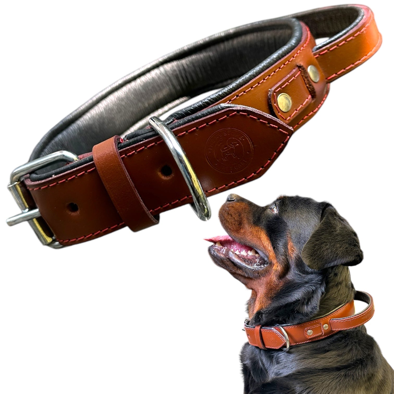 The K9 Store 100% Highgrade Leather Bold Dog Neck Collar For Training With Extra Handle - Zoey's Special (Chocolate)
