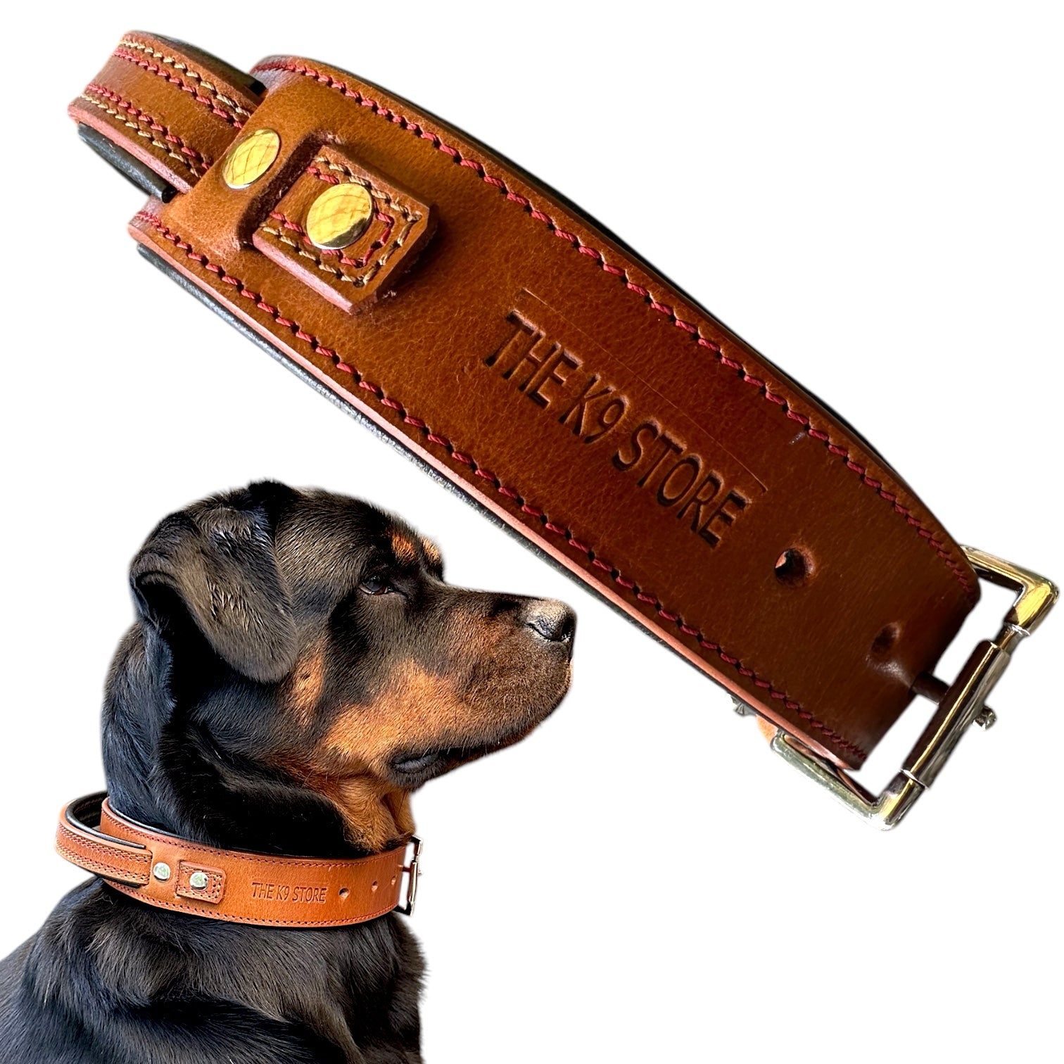The K9 Store 100% Highgrade Leather Bold Dog Neck Collar For Training With Extra Handle - Zoey's Special (Tan)