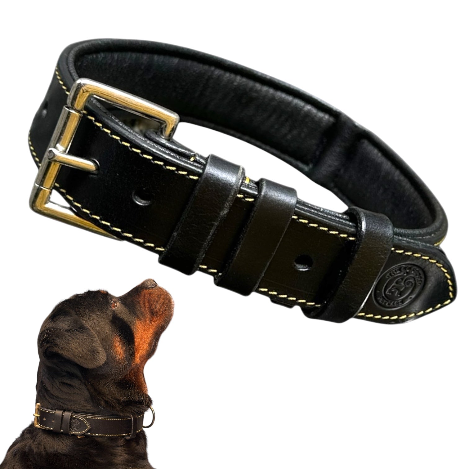 The K9 Store 100% Highgrade Leather Colored Basic Dog Neck Collar (Black)