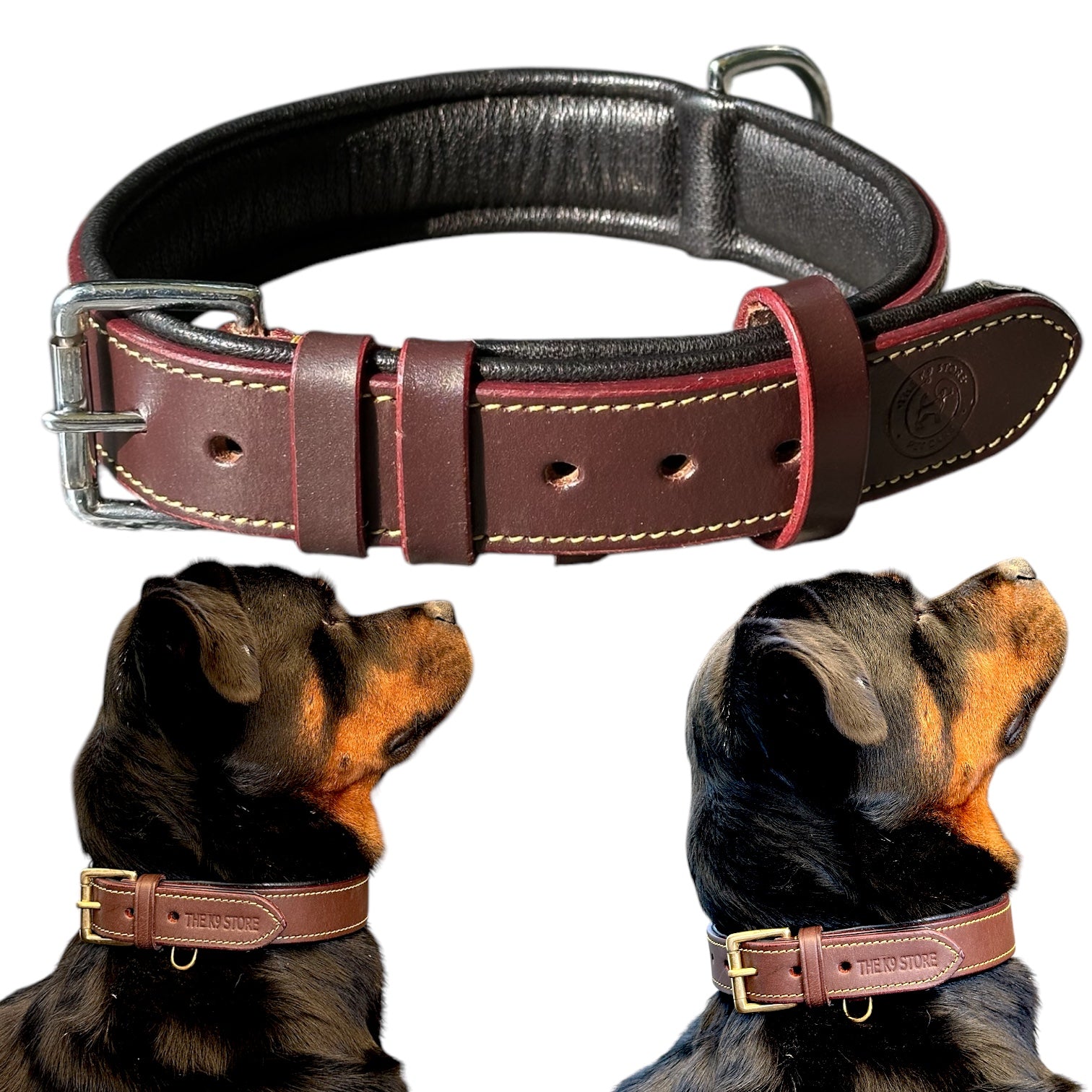 The K9 Store 100% Highgrade Leather Colored Basic Dog Neck Collar Chocolate