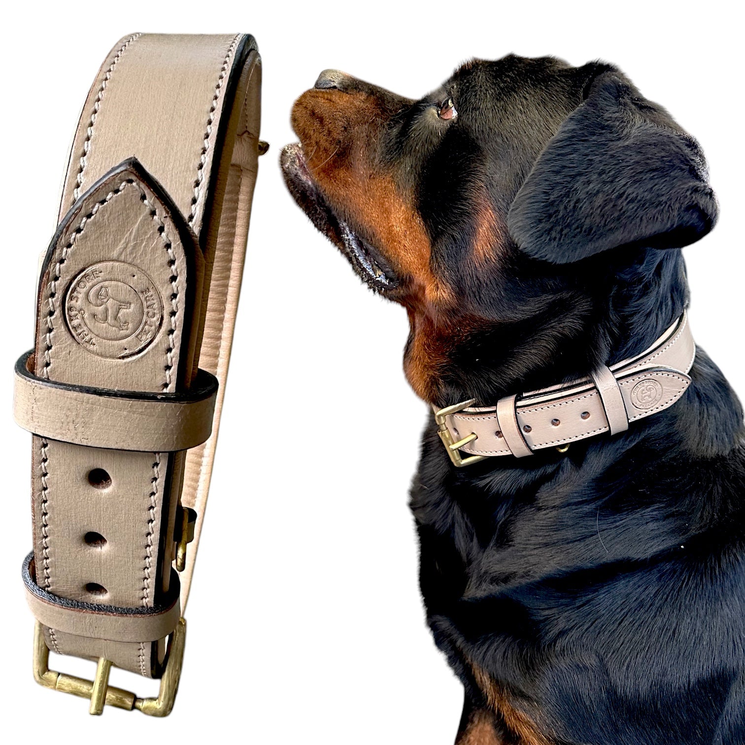 The K9 Store 100% Highgrade Leather Colored Basic Dog Neck Collar (Grey)