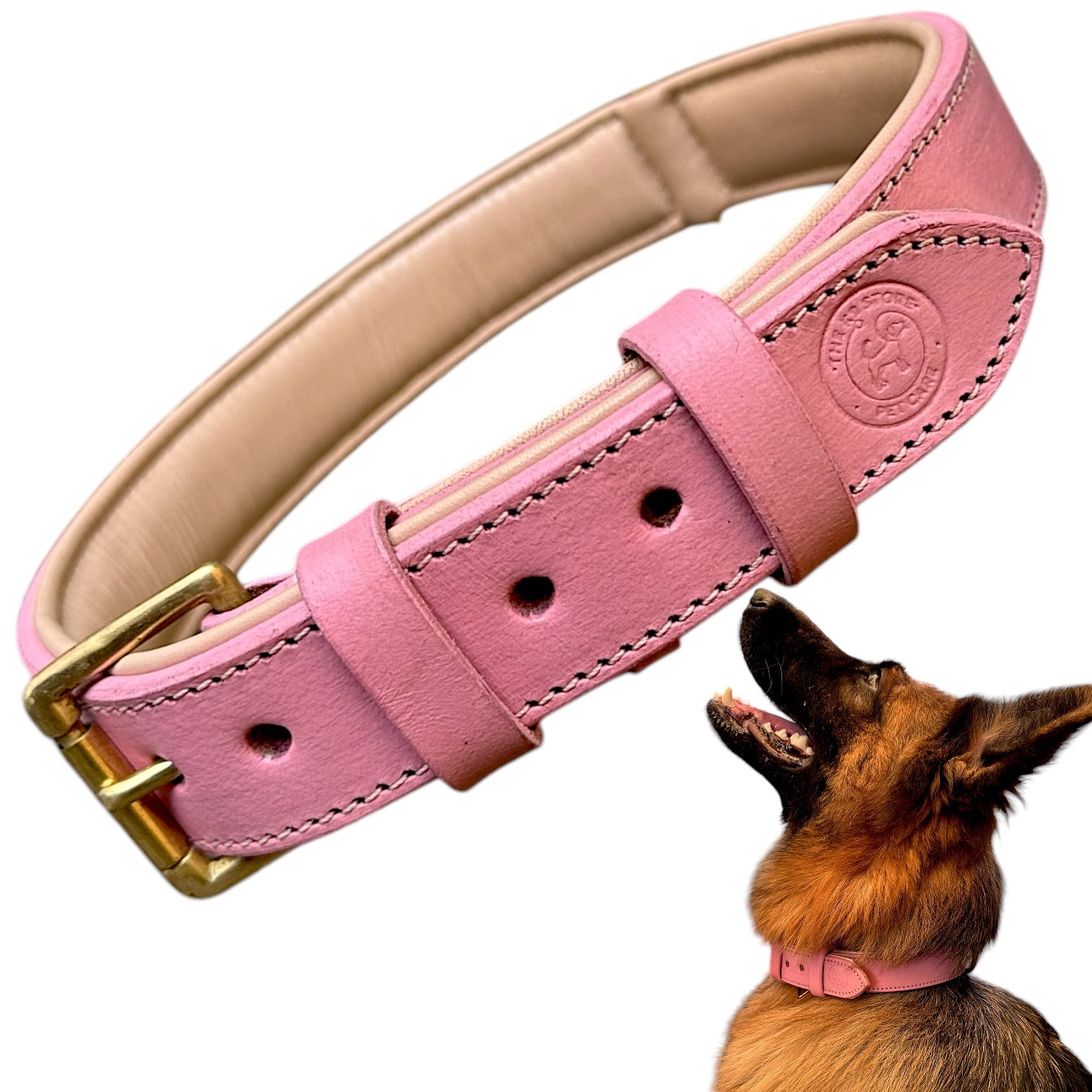 The K9 Store 100% Highgrade Leather Colored Basic Dog Neck Collar (Pink)