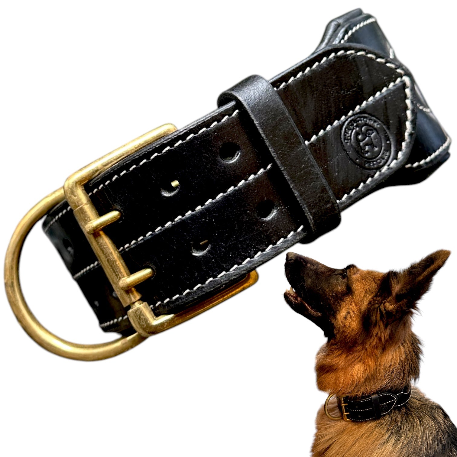 The K9 Store 100% Highgrade Leather Colored Bold & Premium Dog Neck Collar (Black)