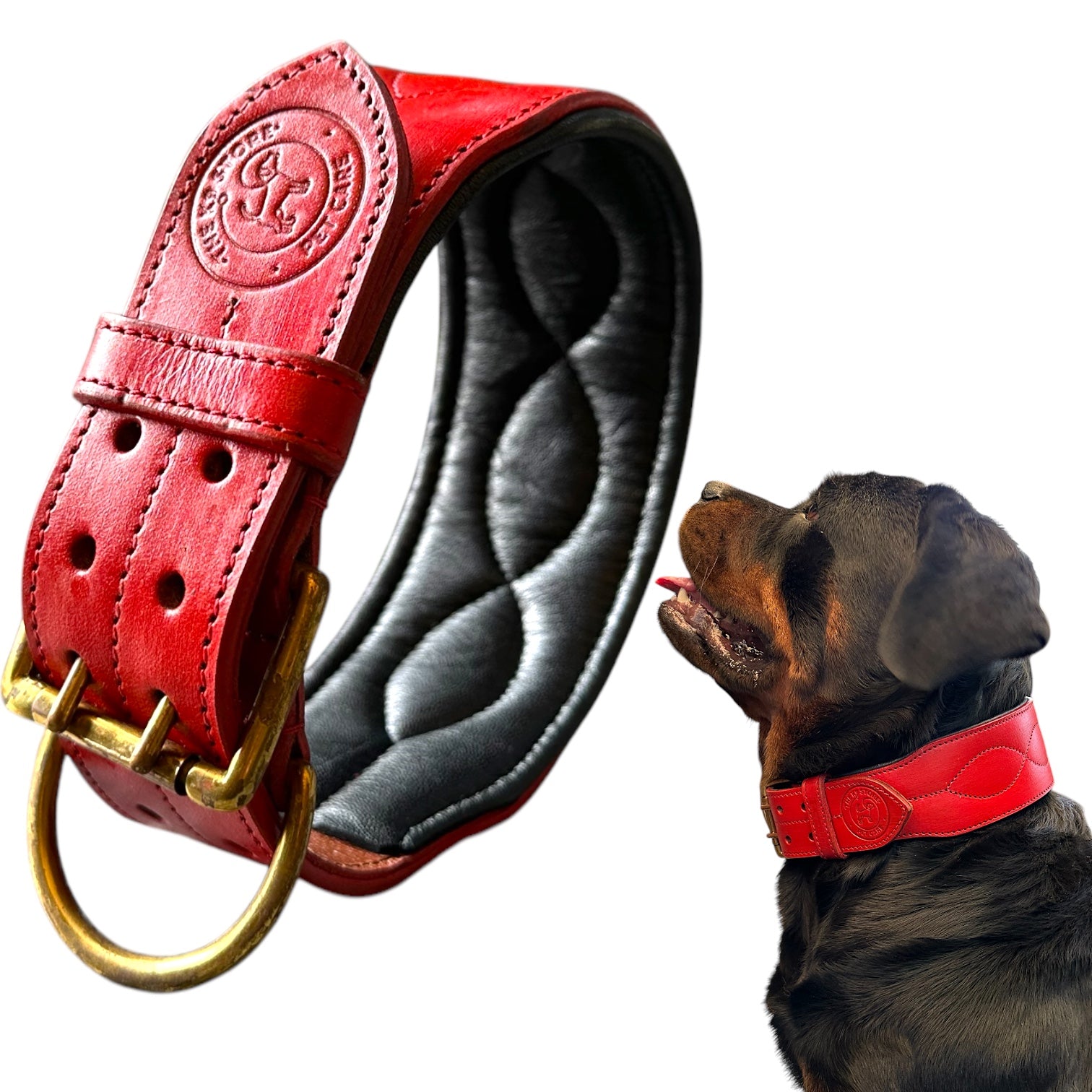 The K9 Store 100% Highgrade Leather Colored Bold & Premium Dog Neck Collar (Red)