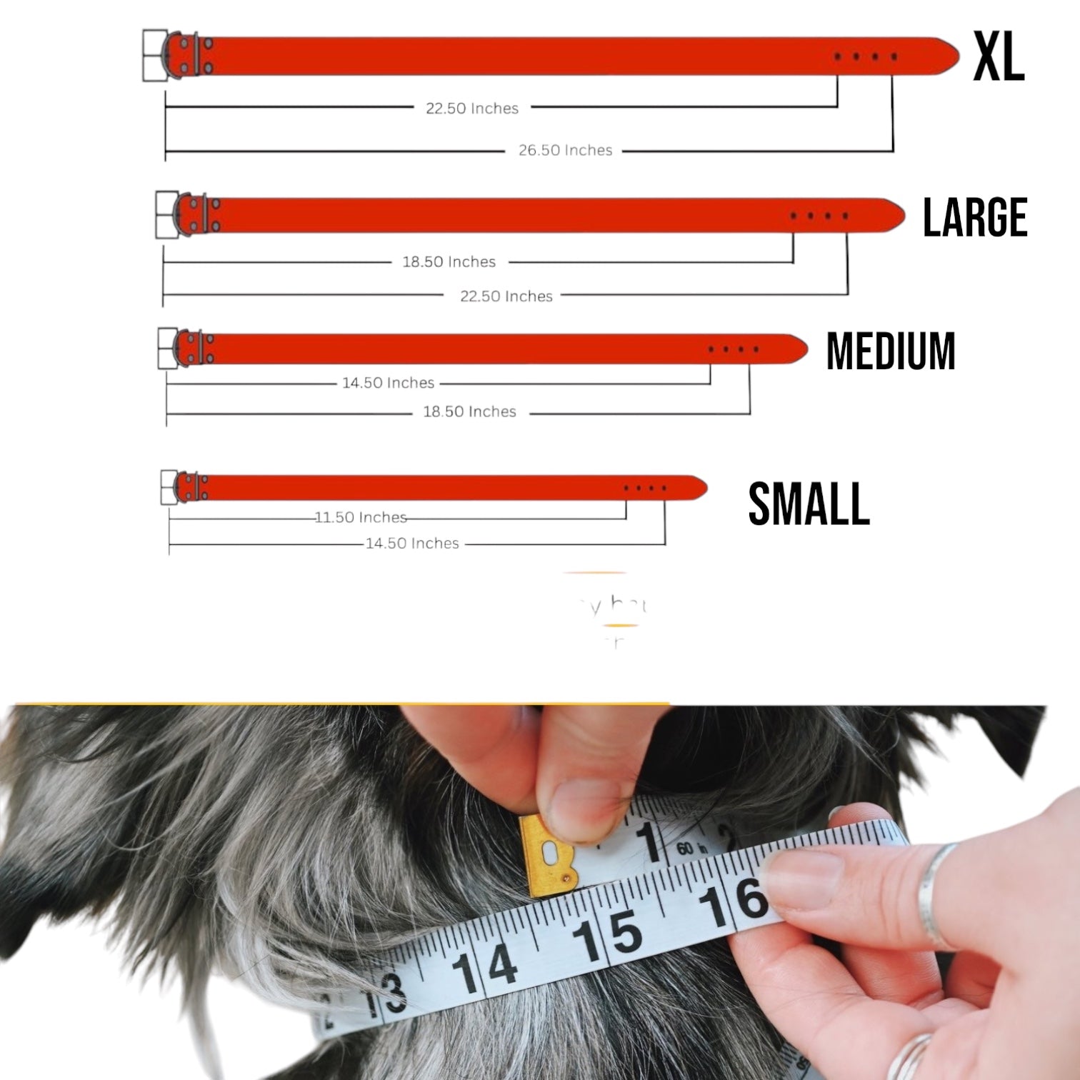 The K9 Store 100% Highgrade Leather Colored Bold & Premium Dog Neck Collar (Red)
