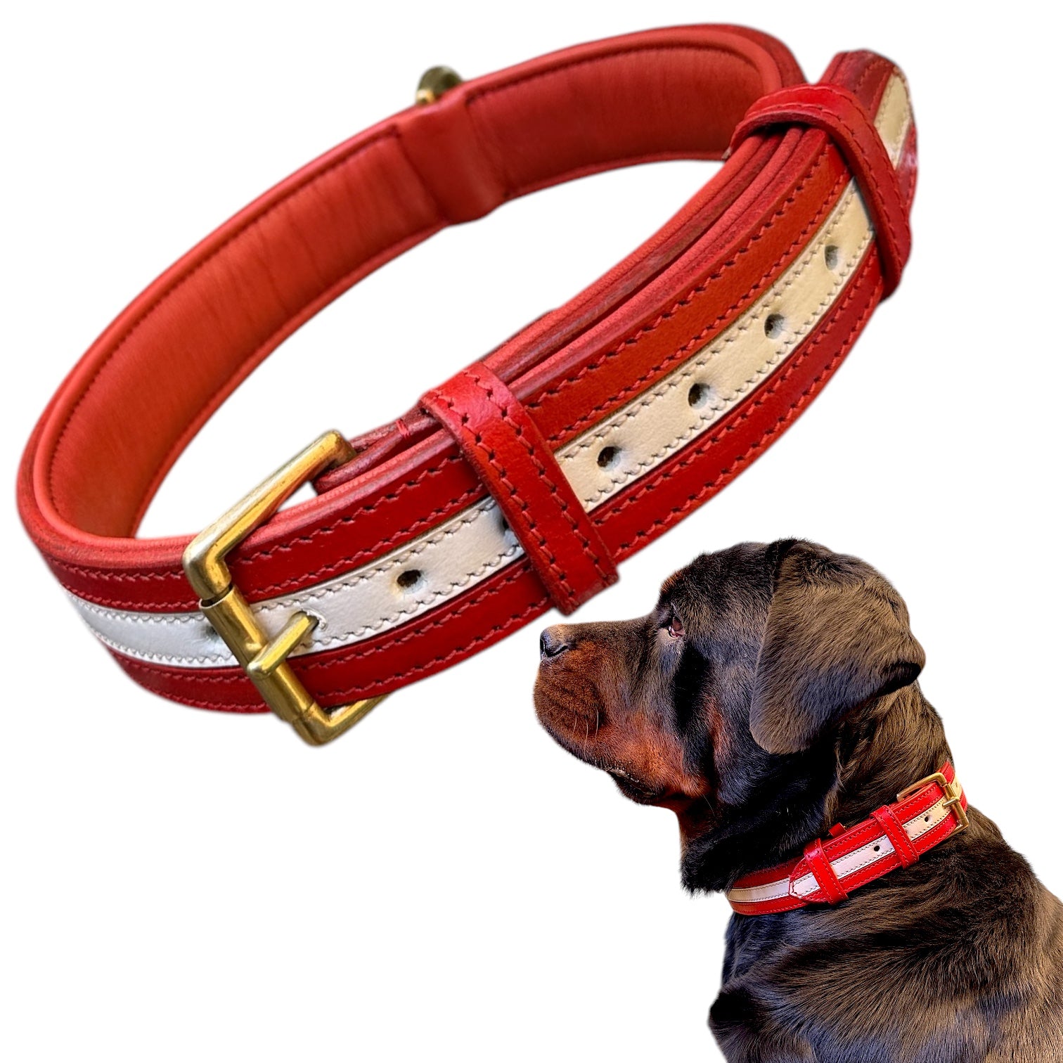 The K9 Store 100% Highgrade Leather Dual Tone Designer Dog Neck Collar (Red & White)