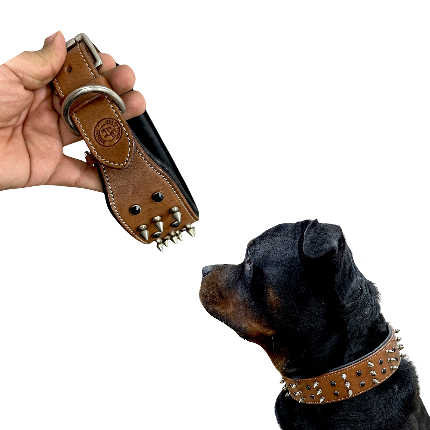 The K9 Store 100% Highgrade Leather Spiked & Studded Designer Dog Neck Collar (Brown) (Bubzee Special)