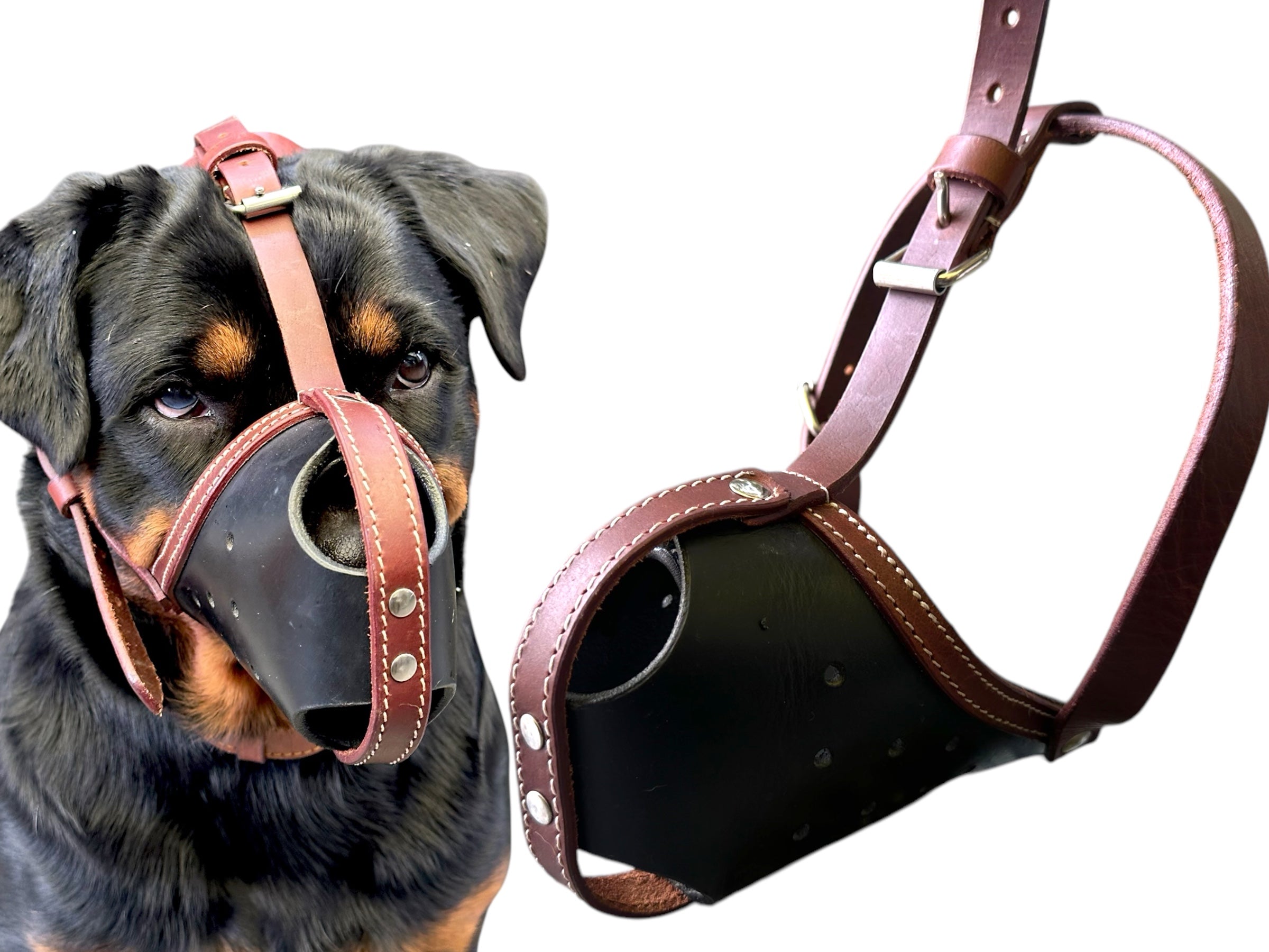 The K9 Store Premium Leather Dog Muzzle, Handstitched Mask for Gaint, Large & Medium Dog Breeds in Black/Tan Color