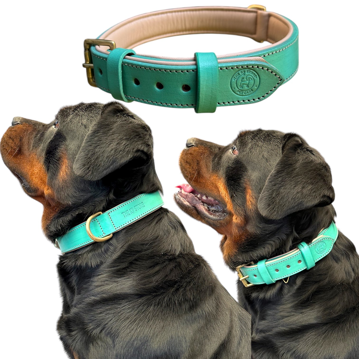 The K9 Store 100% Highgrade Leather Colored Basic Dog Neck Collar (Green/Mint)