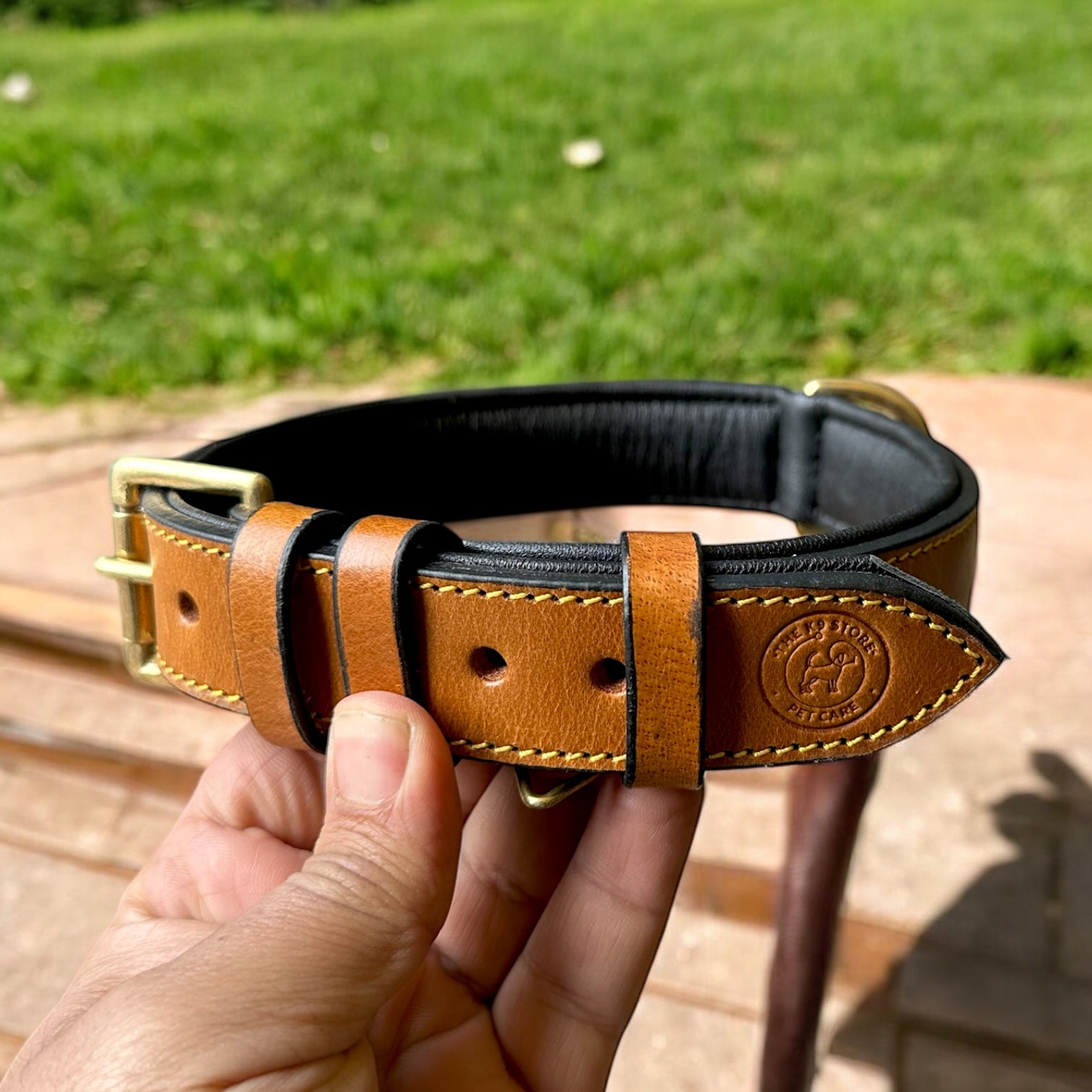 The K9 Store 100% Highgrade Leather Colored Basic Dog Neck Collar (Tan)