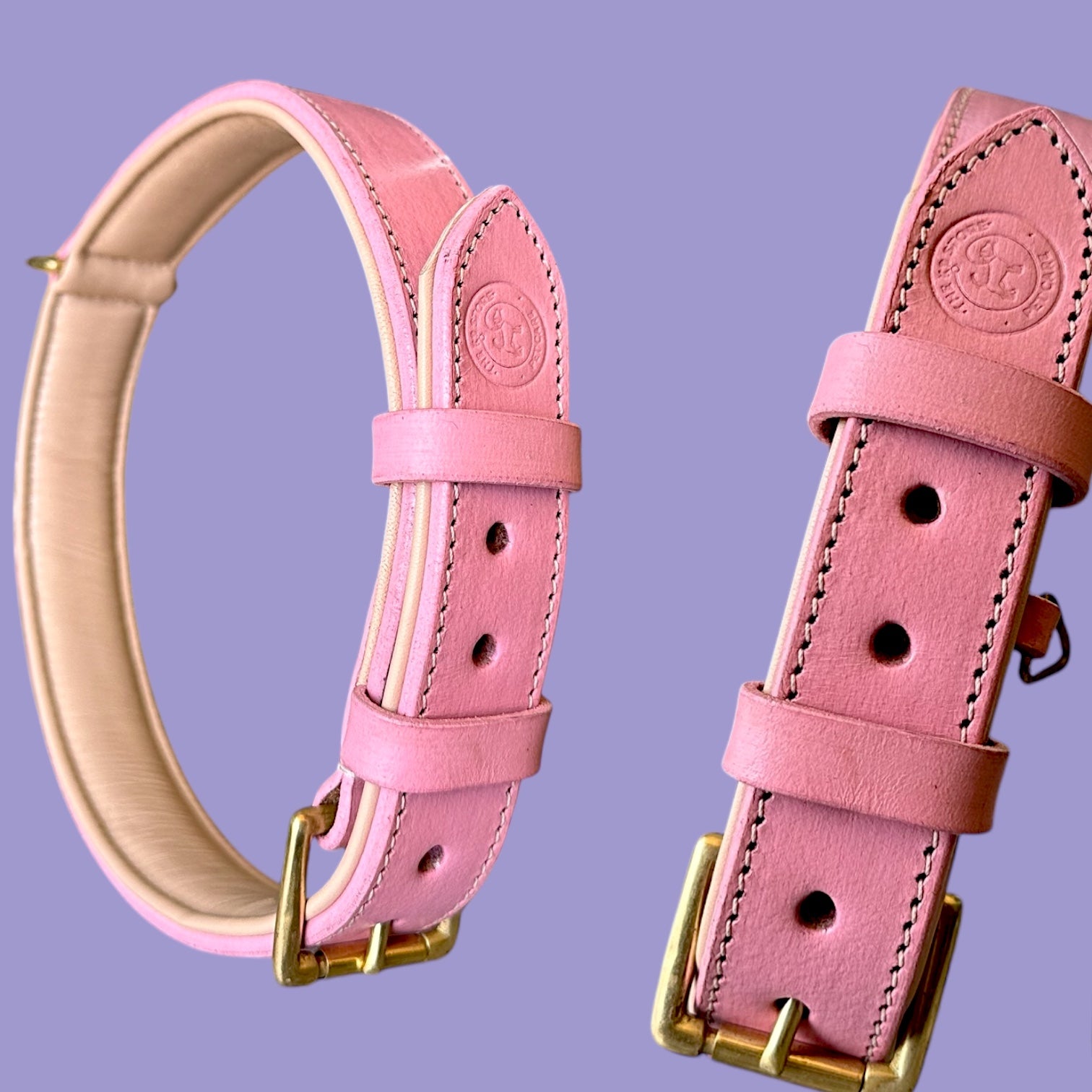 The K9 Store 100% Highgrade Leather Colored Basic Dog Neck Collar (Pink)