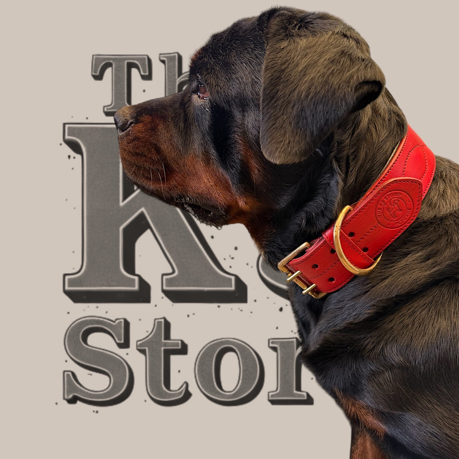 The K9 Store 100% Highgrade Leather Colored Bold & Premium Dog Neck Collar (Dark Red)