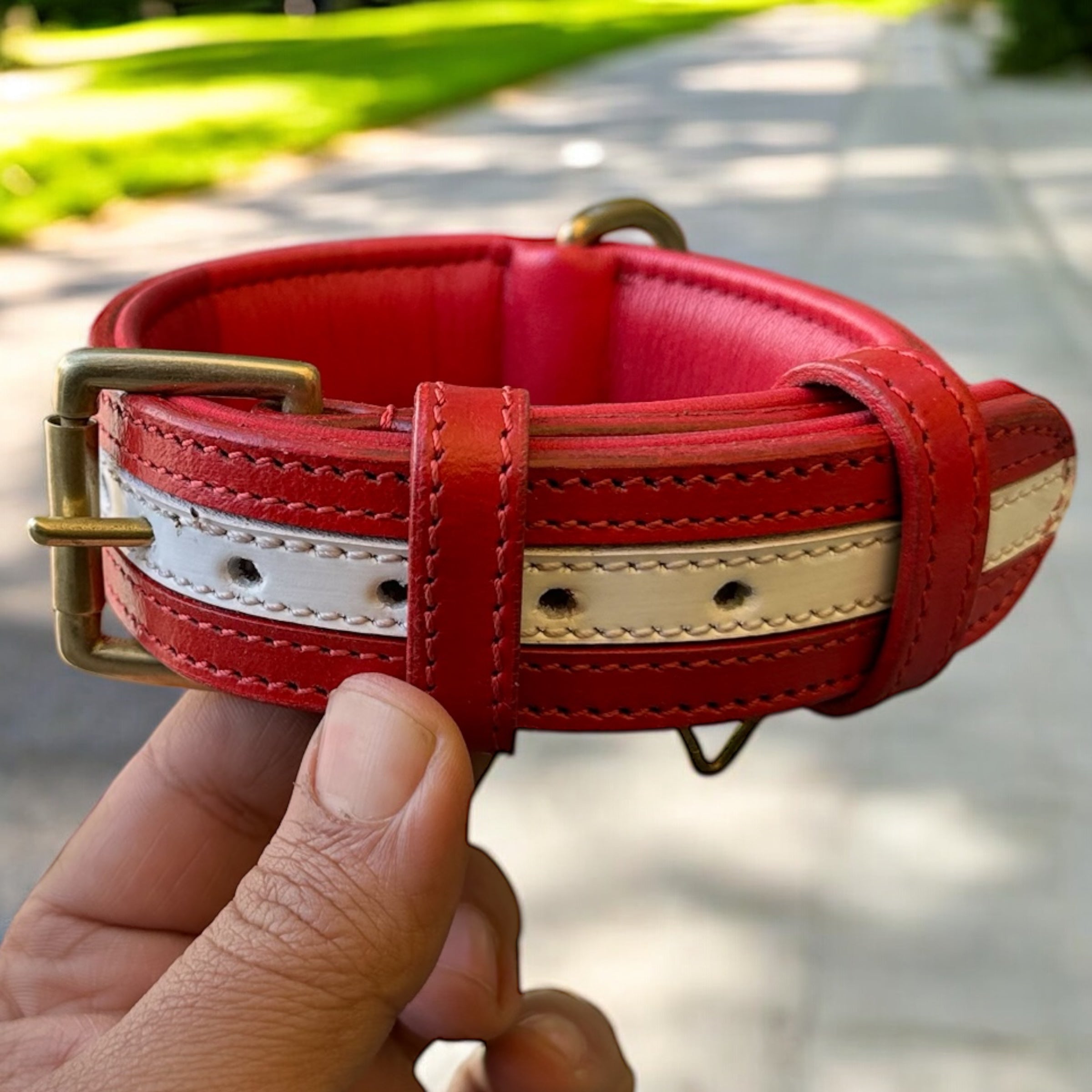 The K9 Store 100% Highgrade Leather Dual Tone Designer Dog Neck Collar (Red & White)