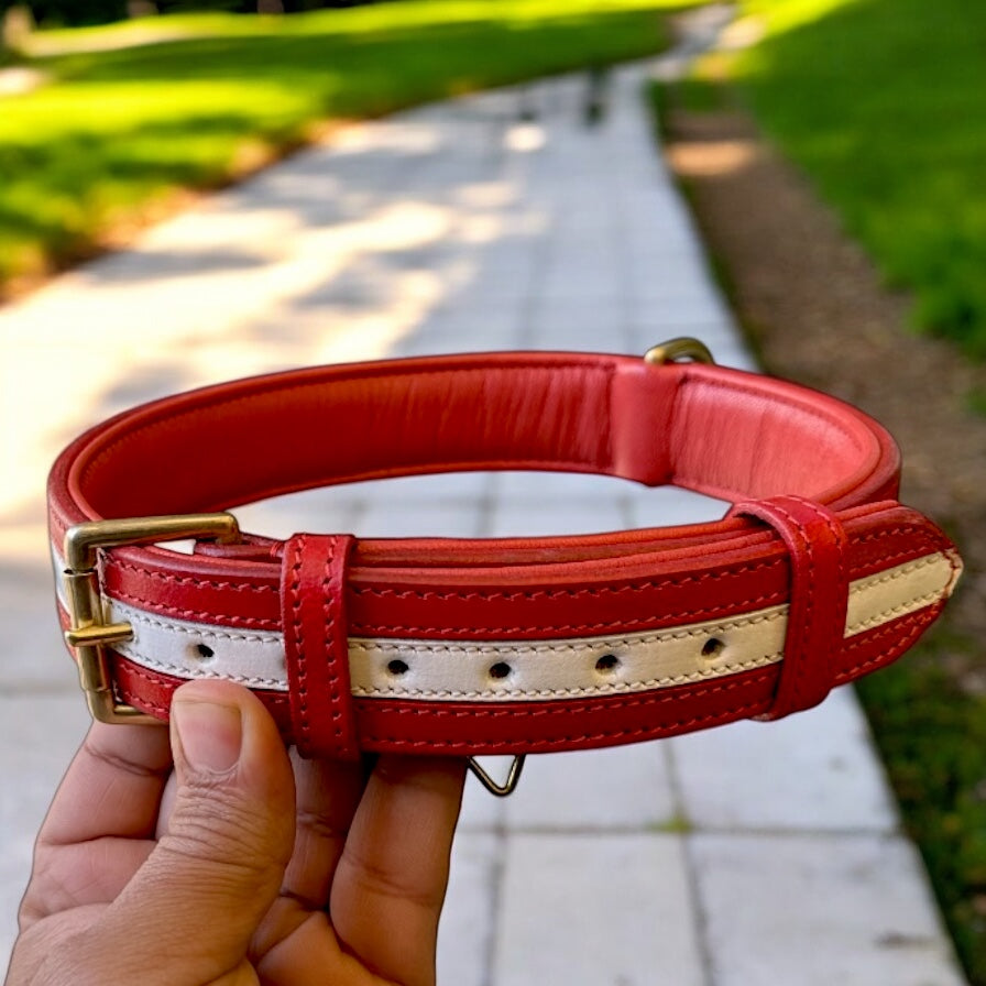 The K9 Store 100% Highgrade Leather Dual Tone Designer Dog Neck Collar (Red & White)