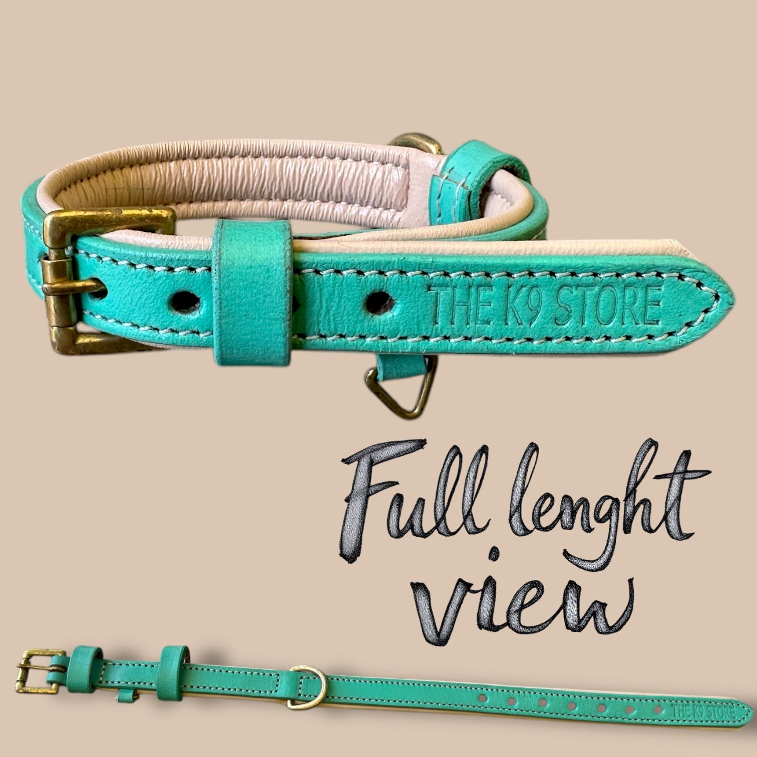 The K9 Store 100% Highgrade Leather Colored Basic Dog Neck Collar (Green/Mint)