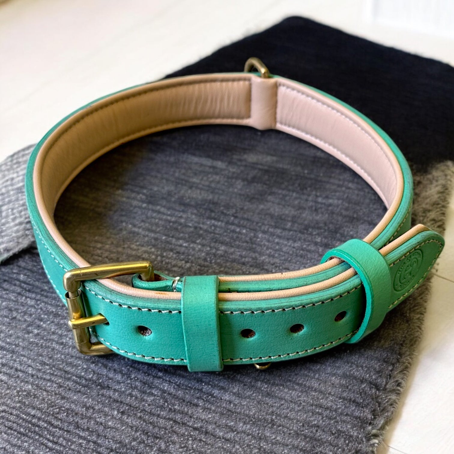 The K9 Store 100% Highgrade Leather Colored Basic Dog Neck Collar (Green/Mint)