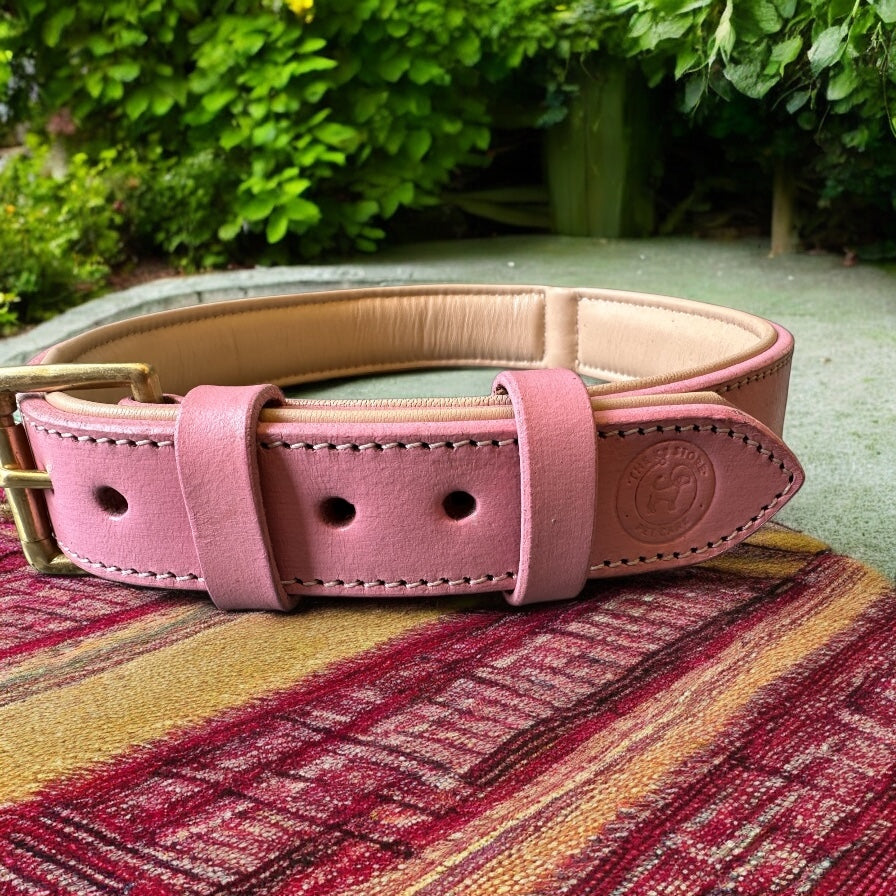 The K9 Store 100% Highgrade Leather Colored Basic Dog Neck Collar (Pink)