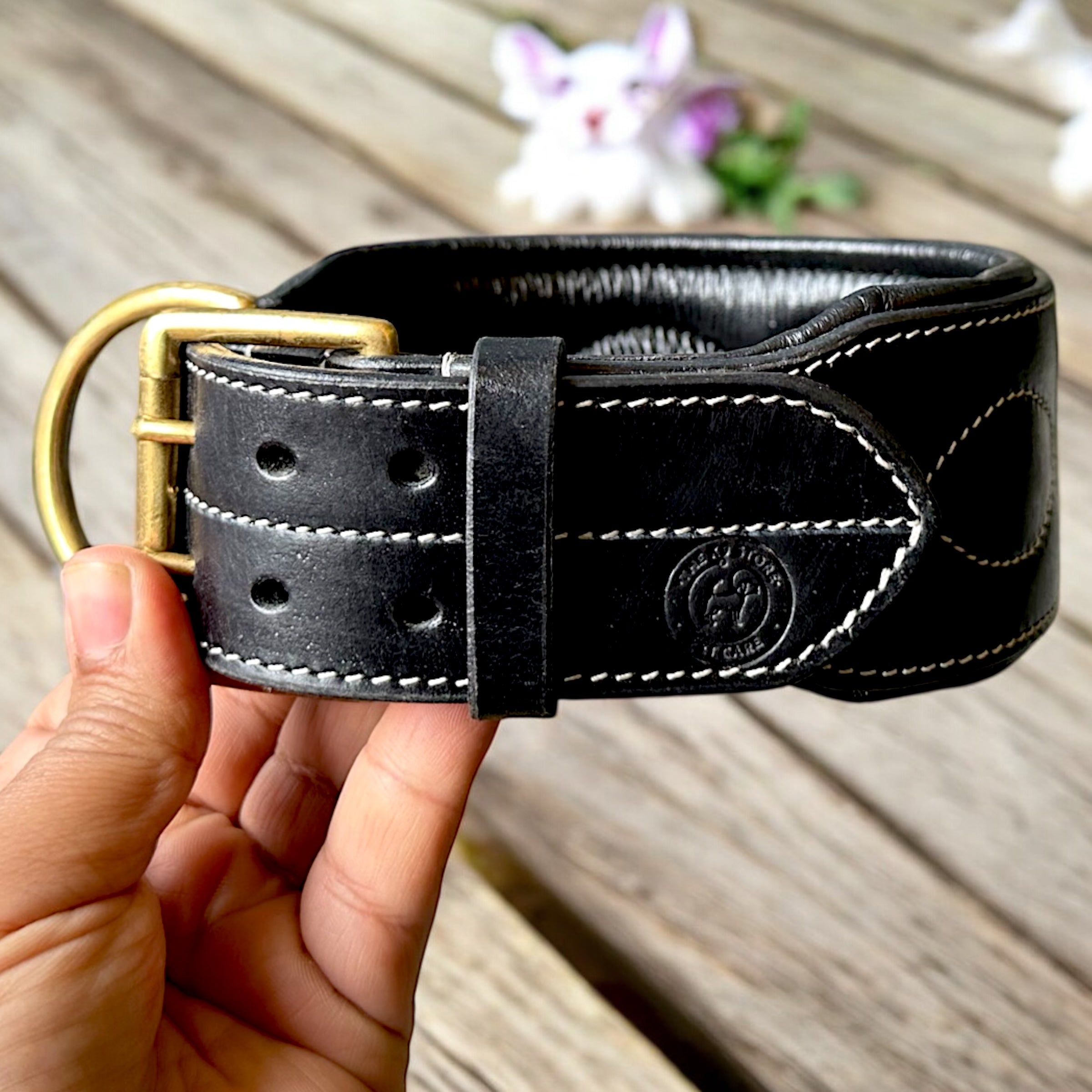 The K9 Store 100% Highgrade Leather Colored Bold & Premium Dog Neck Collar (Black)