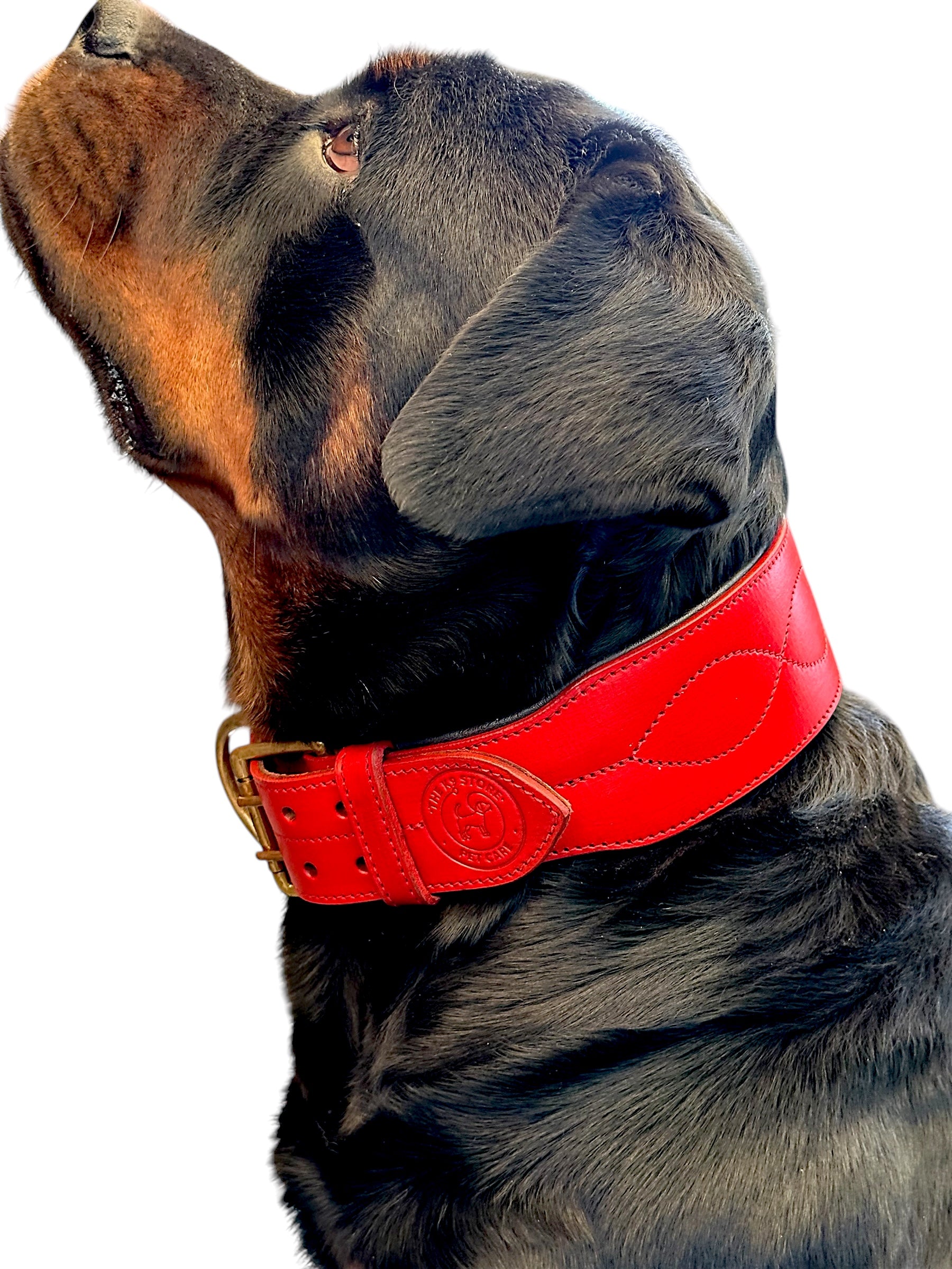 The K9 Store 100% Highgrade Leather Colored Bold & Premium Dog Neck Collar (Red)