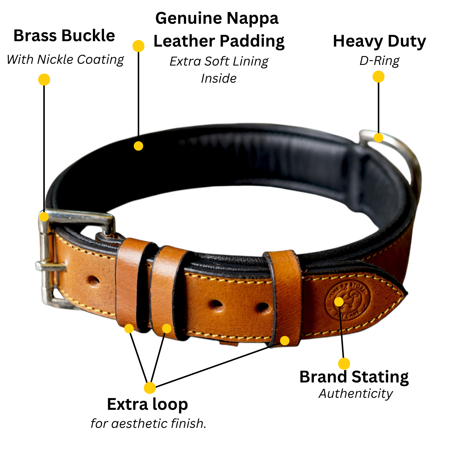 The K9 Store 100% Highgrade Leather Colored Basic Dog Neck Collar (Tan)