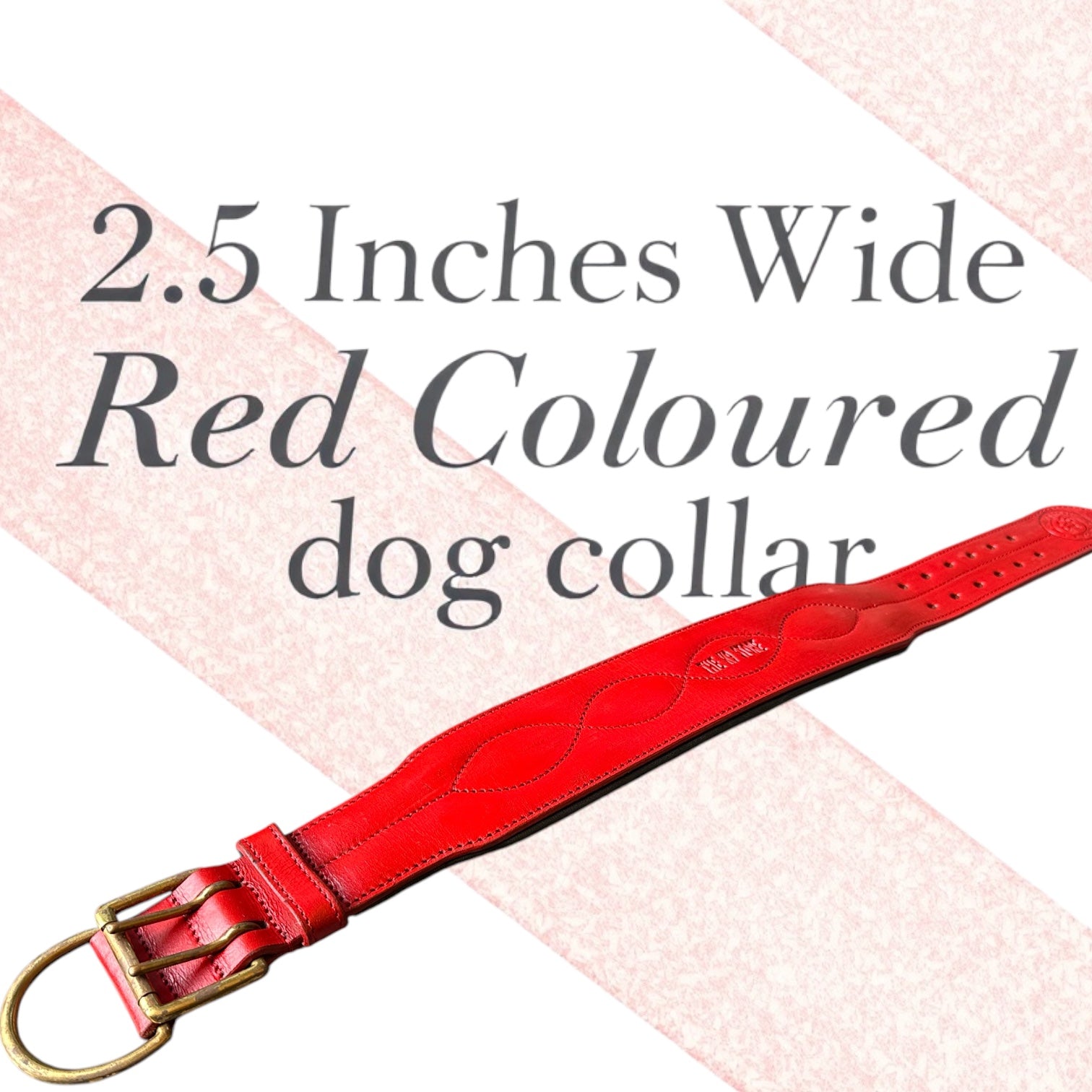 The K9 Store 100% Highgrade Leather Colored Bold & Premium Dog Neck Collar (Red)