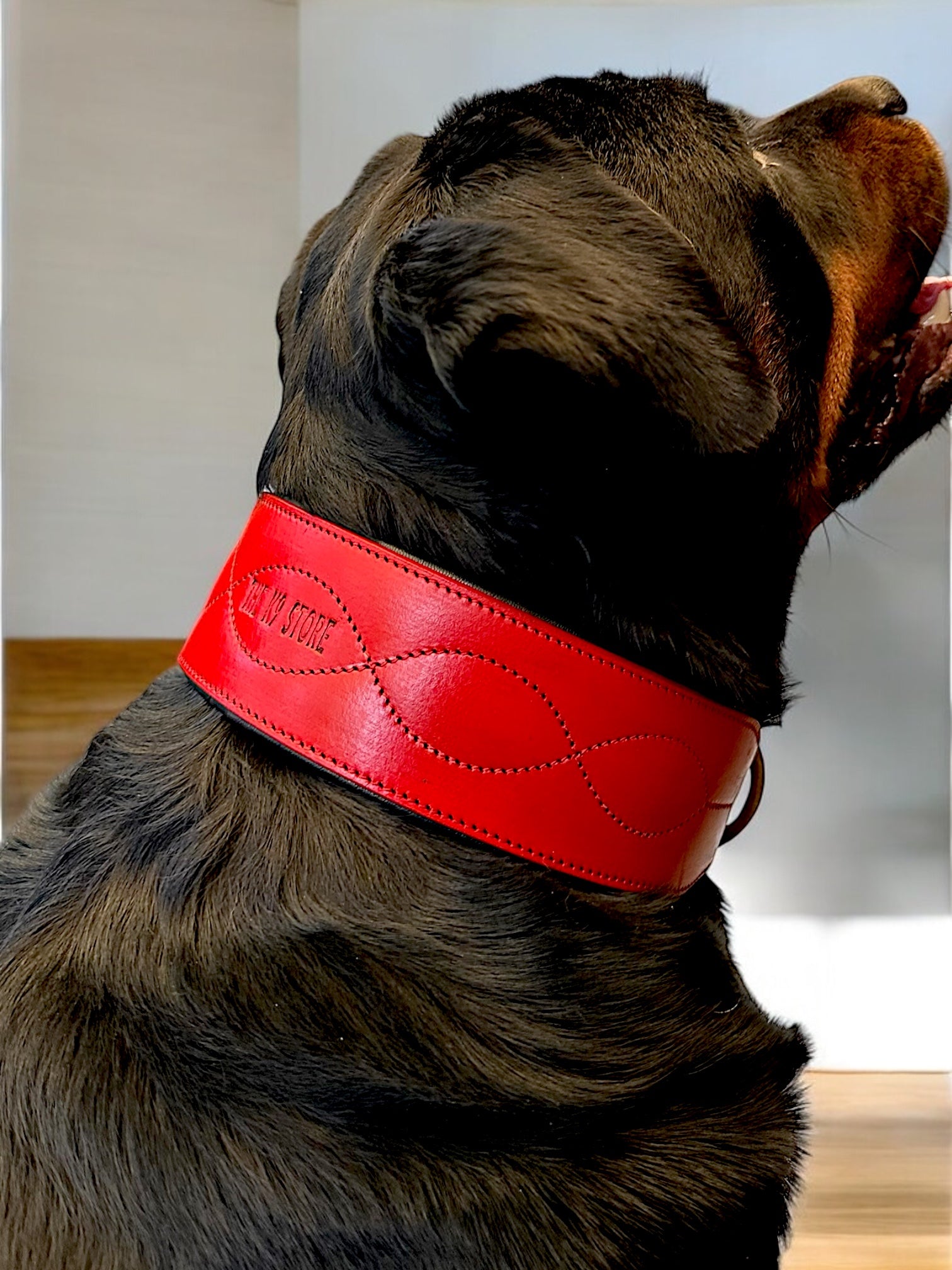 The K9 Store 100% Highgrade Leather Colored Bold & Premium Dog Neck Collar (Red)