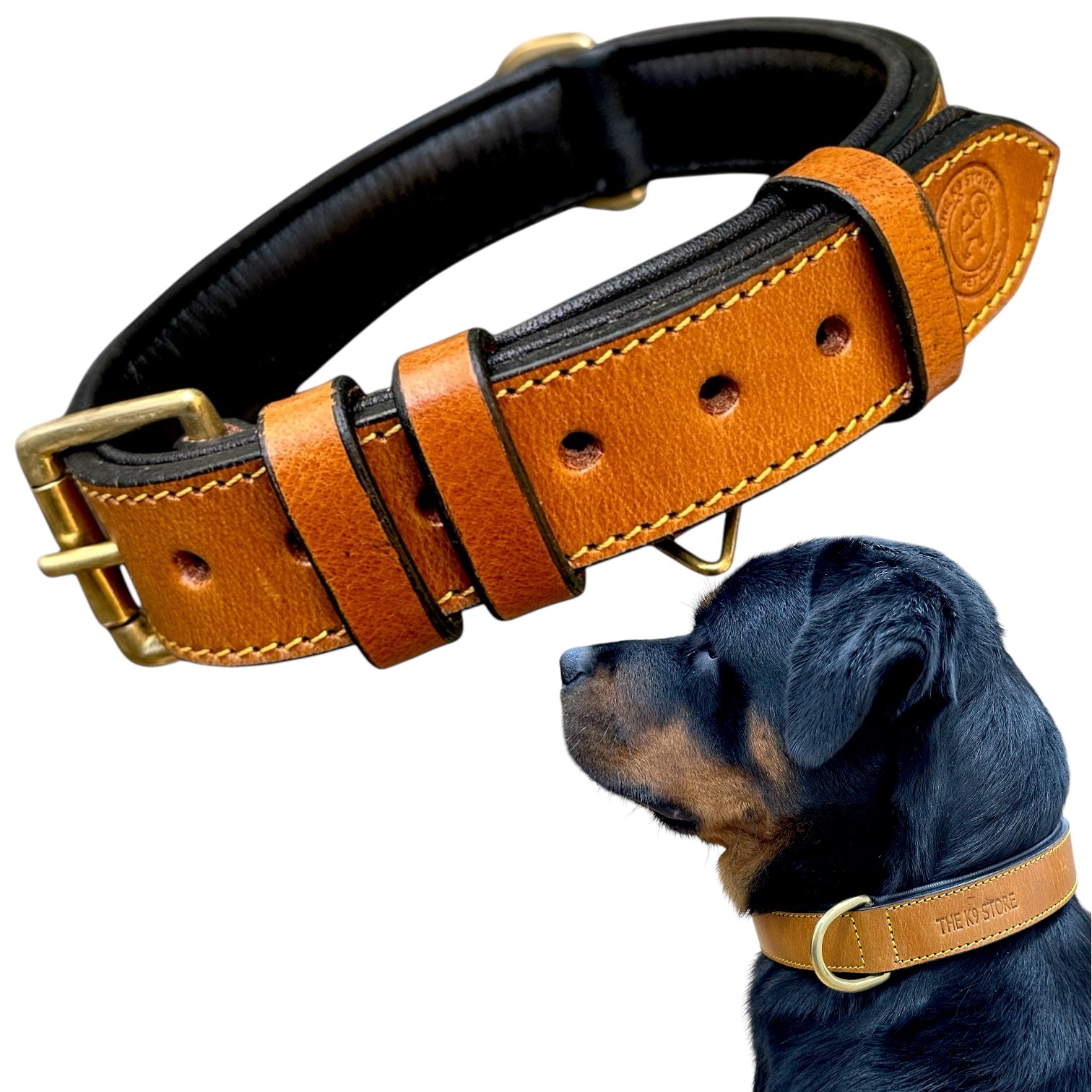 The K9 Store 100% Highgrade Leather Colored Basic Dog Neck Collar (Tan)