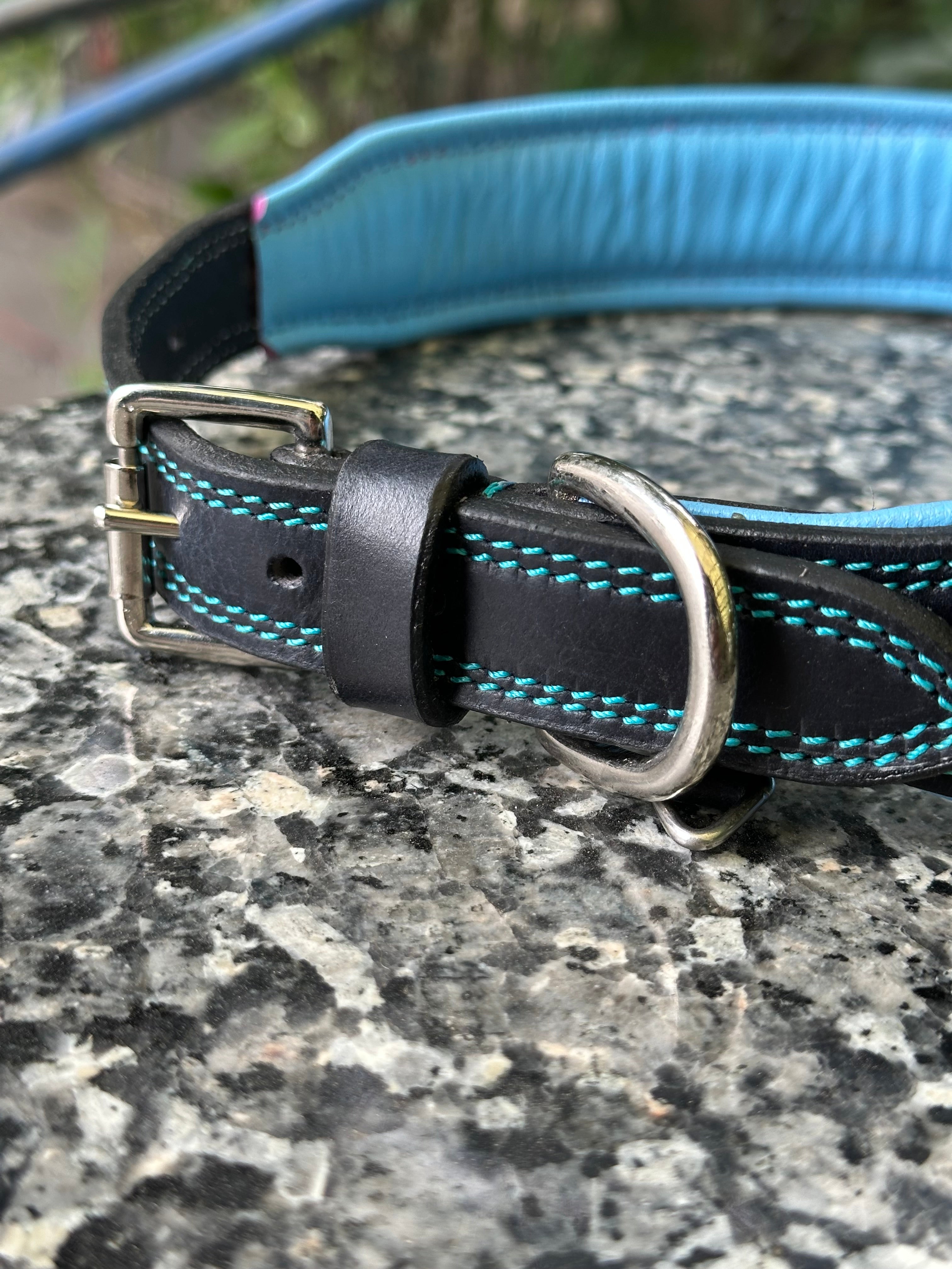 The K9 Store 100% Highgrade Leather Bold Dog Neck Collar For Training With Extra Handle - Zoey's Special B&B (Blue & Black Dual Tone)