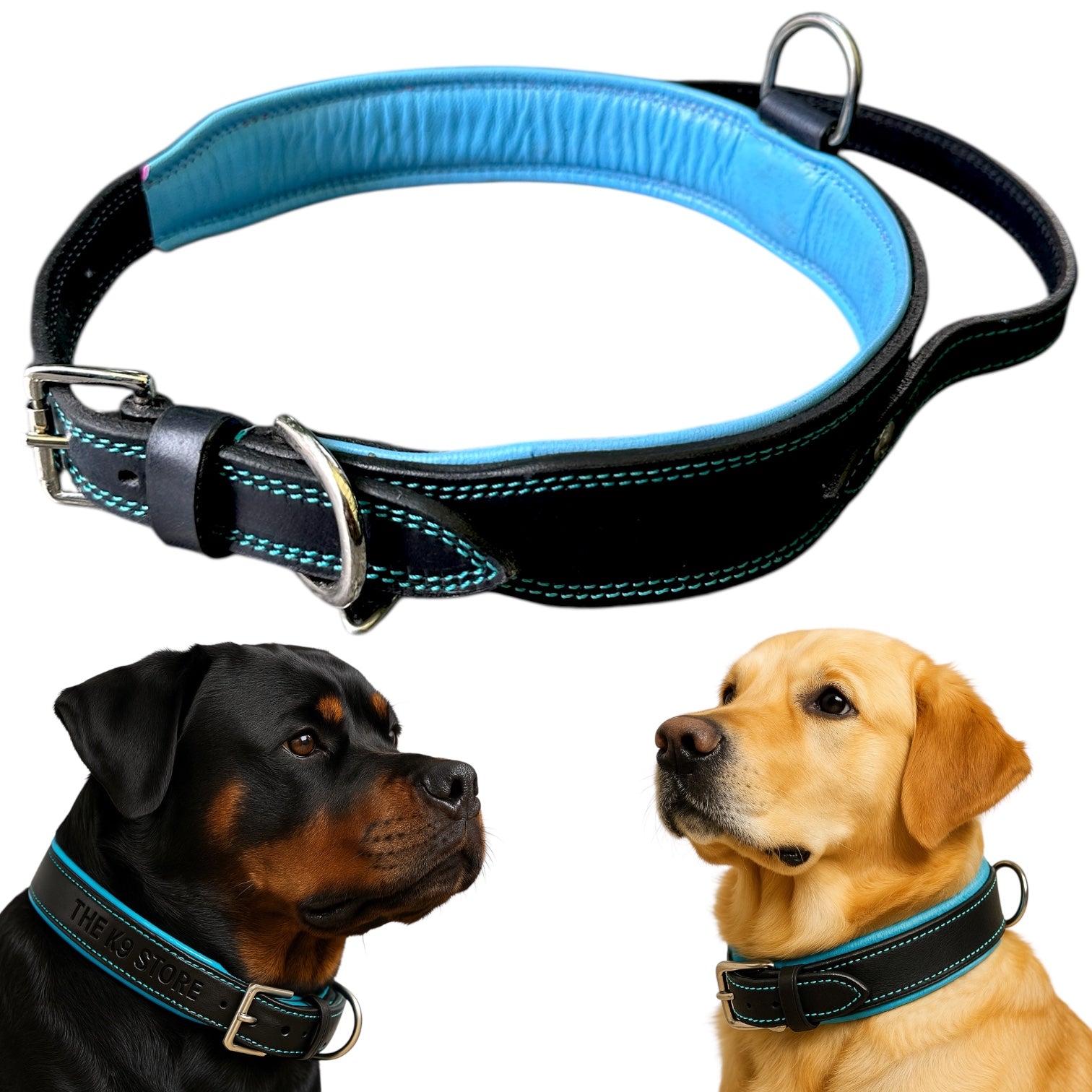 The K9 Store 100% Highgrade Leather Bold Dog Neck Collar For Training With Extra Handle - Zoey's Special B&B (Blue & Black Dual Tone)