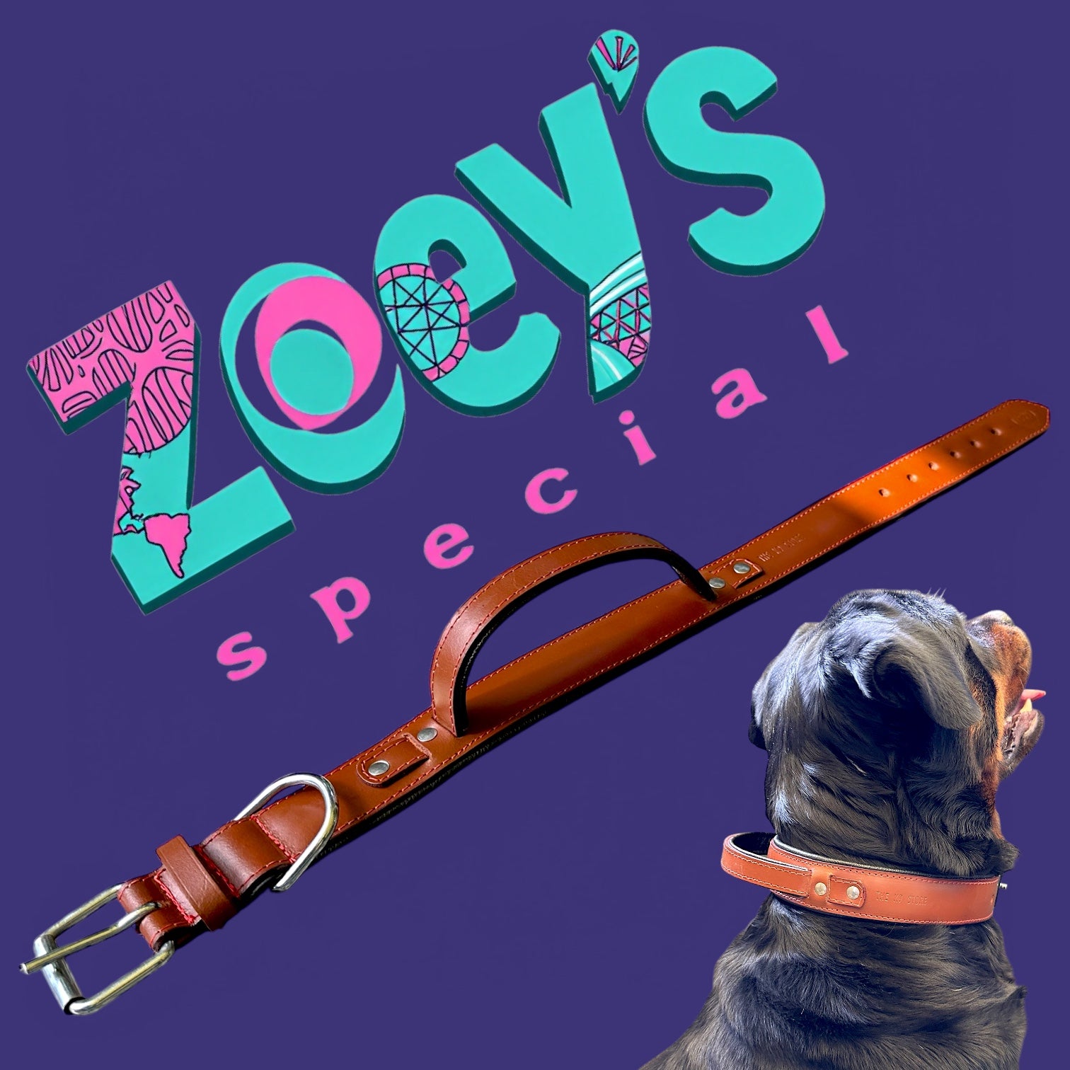 The K9 Store 100% Highgrade Leather Bold Dog Neck Collar For Training With Extra Handle - Zoey's Special (Chocolate)