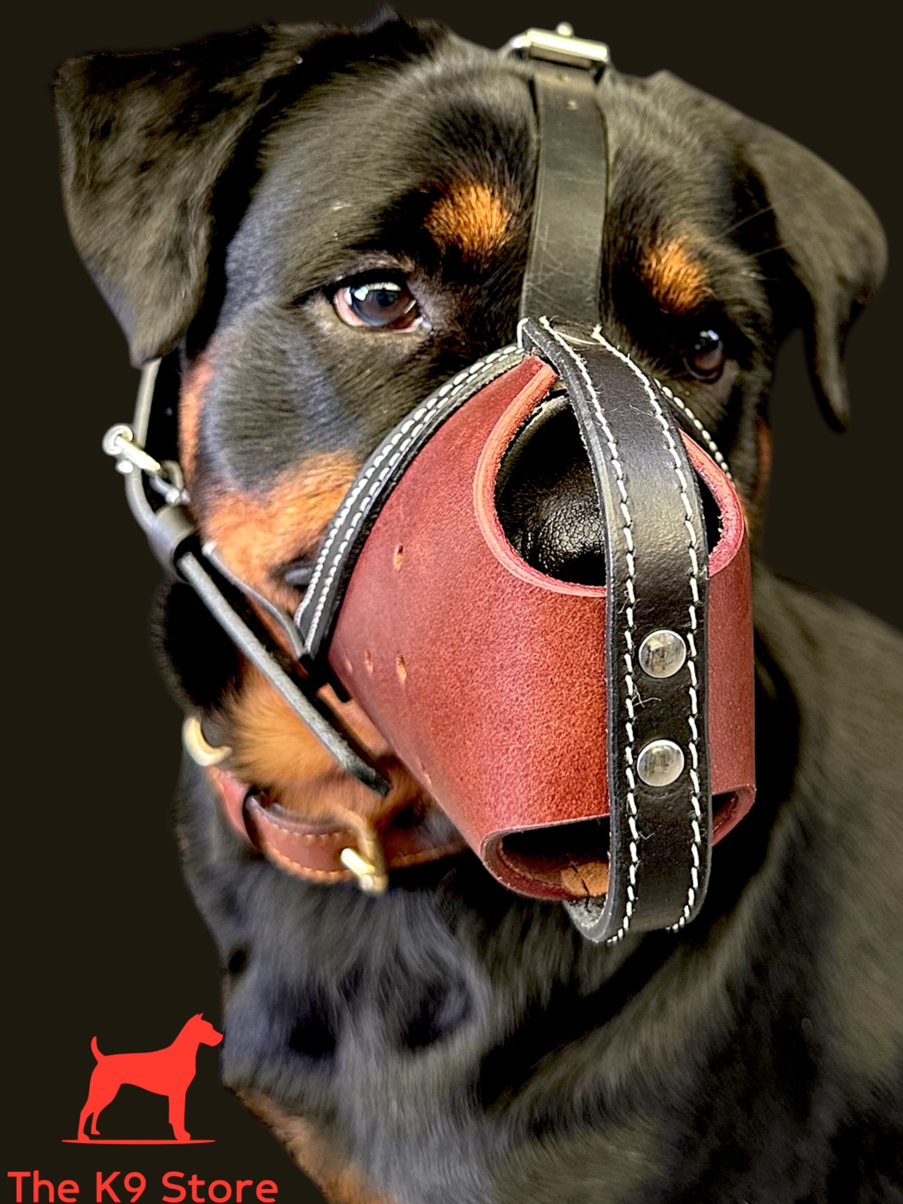 The K9 Store Premium Leather Dog Muzzle, Handstitched Mask for Gaint, Large & Medium Dog Breeds in Black/Tan Color