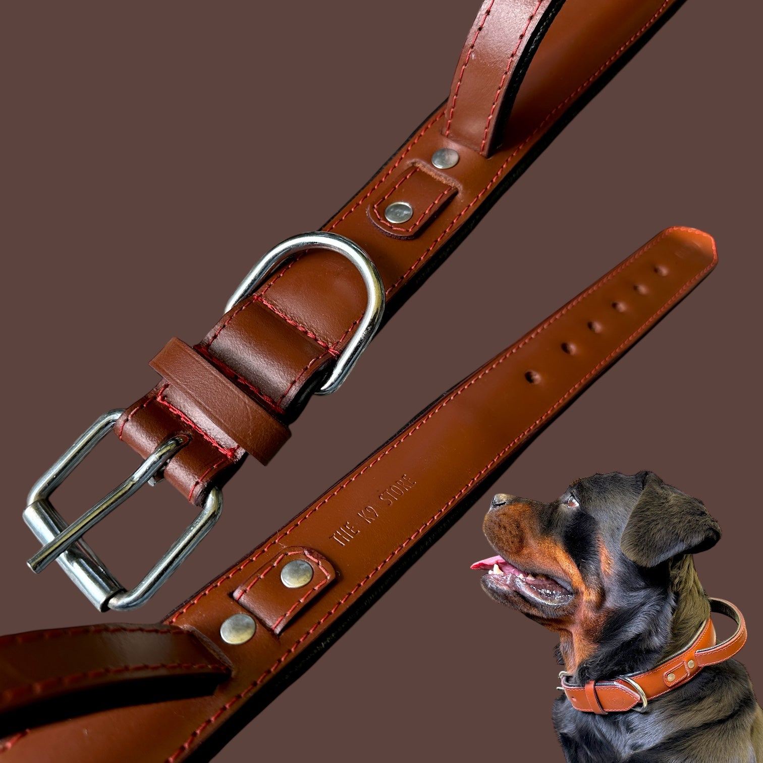 The K9 Store 100% Highgrade Leather Bold Dog Neck Collar For Training With Extra Handle - Zoey's Special (Chocolate)