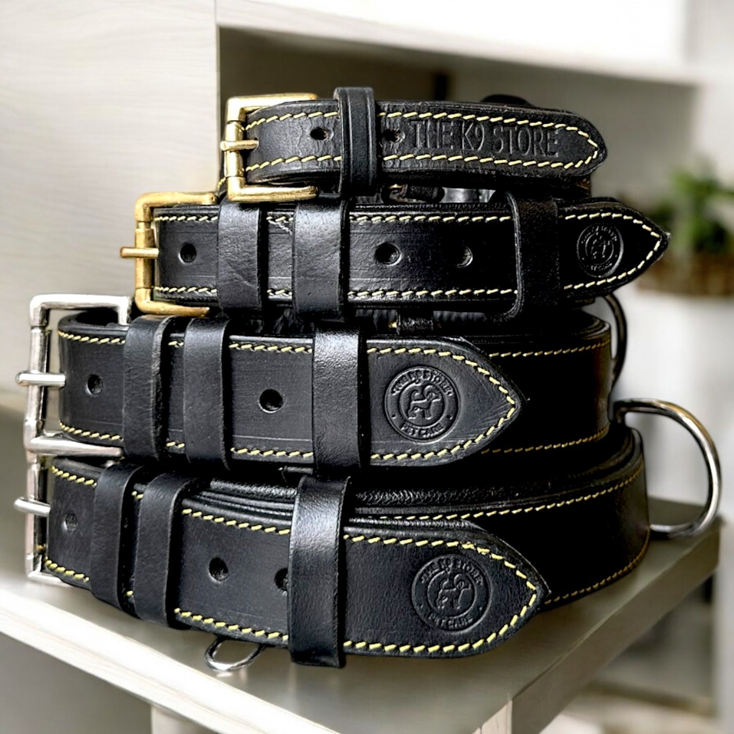 black color dog neck collar