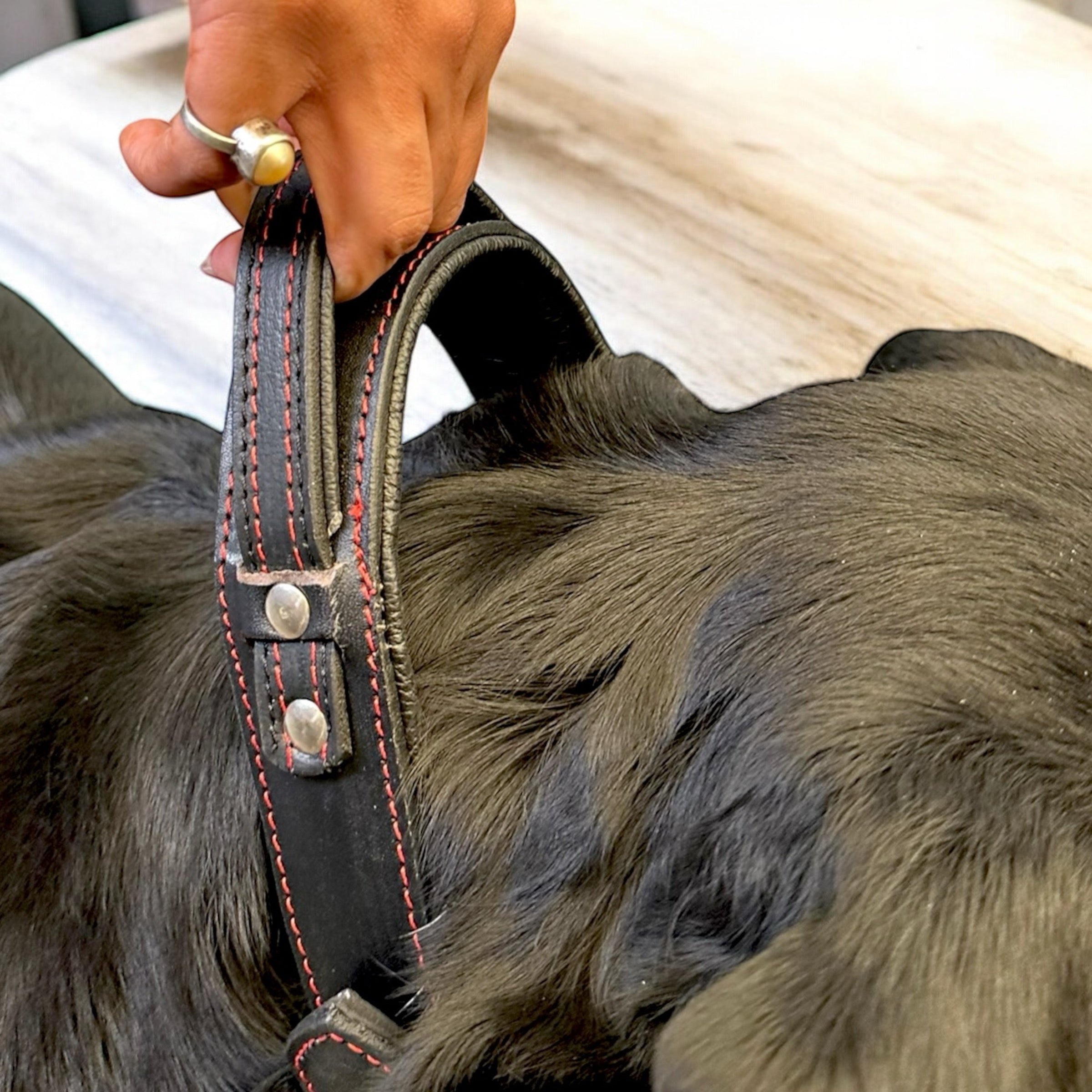 The K9 Store 100% Highgrade Leather Bold Dog Neck Collar For Training With Extra Handle - Zoey's Special (Black)