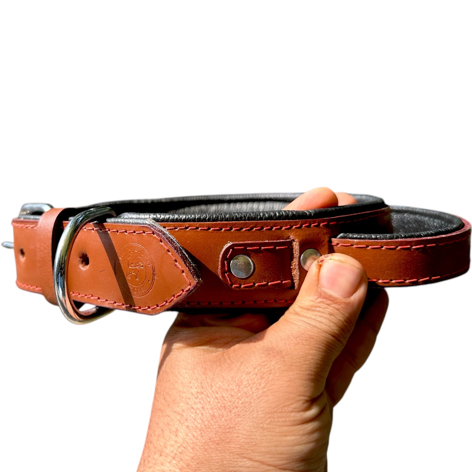 The K9 Store 100% Highgrade Leather Bold Dog Neck Collar For Training With Extra Handle - Zoey's Special (Chocolate)